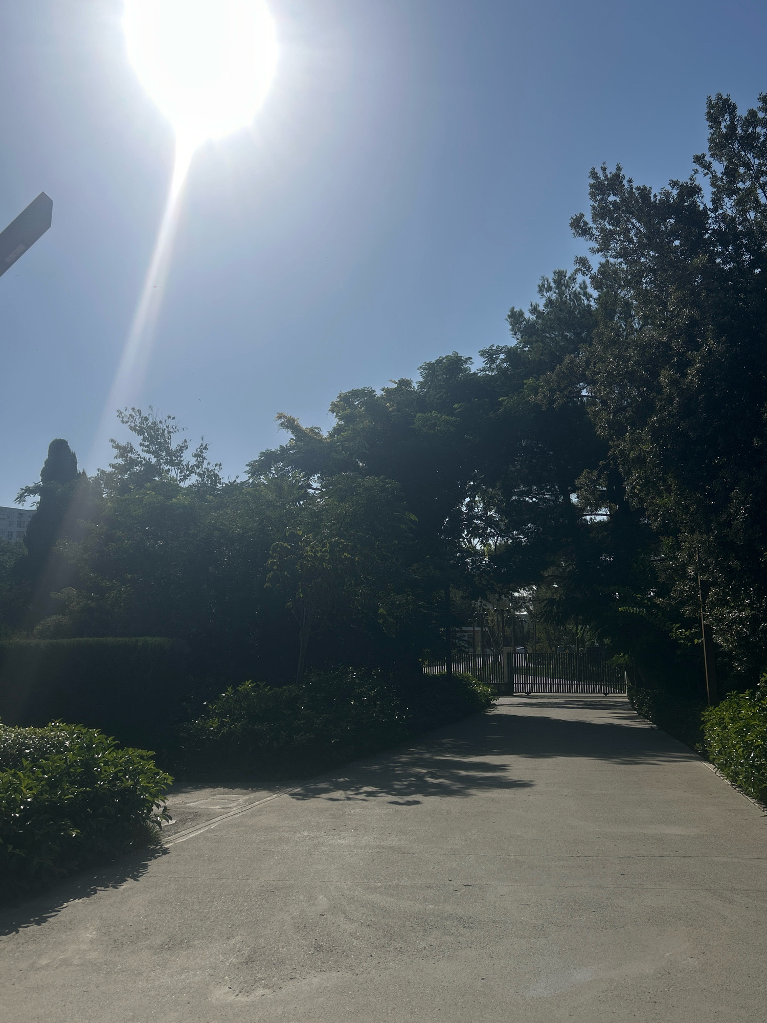 The image captures a bright, sunlit scene on a paved path leading towards a closed metal gate, likely in the city of Sabail Raion, Azerbaijan. The sun is high in the sky, casting strong light and distinct shadows. Lush green trees and bushes line both sides of the path, creating a verdant, natural setting. In the background, the gate is surrounded by foliage, with glimpses of structures beyond. The overall impression is one of a serene outdoor environment on a clear day.