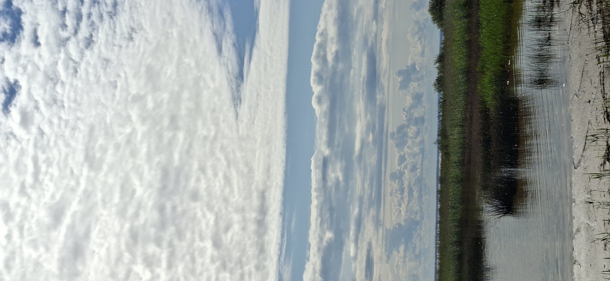 An outdoor, vertical, low-angle shot captures a marshy landscape under a cloudy sky. In the foreground, a body of water reflects the sky and the surrounding vegetation. The water is calm with small ripples. The bank of the water features sparse dry grass and some mud. Beyond the water, a dense patch of dark reeds stands in the middle ground, giving way to a line of vibrant green and dark marsh grasses further back, with scattered small trees. The horizon is marked by a distant body of water or land. The sky is filled with layered clouds, ranging from light and wispy to denser formations, with patches of blue sky visible between them. The image is taken in Valma, Estonia.