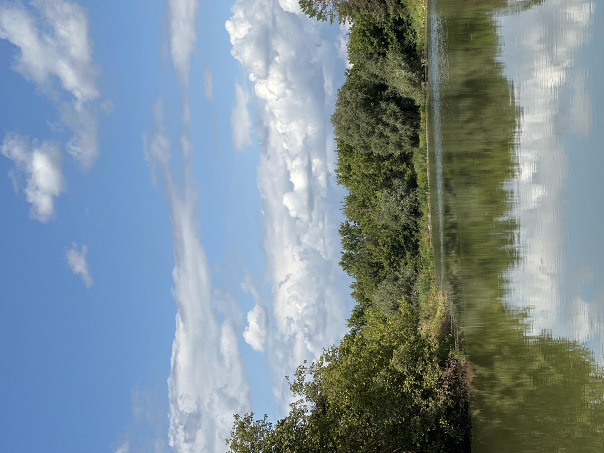 This is a photograph of a calm body of water reflecting the trees on its bank and the sky above. The sky is blue with scattered white clouds. The trees are lush green and dense, forming a barrier along the edge of the water. The water itself appears greenish-brown and shows ripples from a gentle breeze, which also create distorted reflections of the surrounding environment. The scene is peaceful and natural, suggesting an outdoor location like a lake or river. While the image does not explicitly show the city of Makiv, Ukraine, such a natural landscape could be found in or near rural areas within the country. There are no people, animals, or man-made structures visible in the frame.