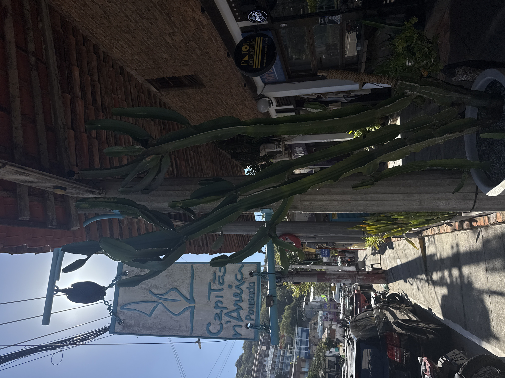The image depicts a sunlit street scene in Arraial do Cabo, Brazil, characterized by a clear blue sky and strong sunlight casting long shadows. In the foreground, a large potted cactus stands prominently on a sidewalk. Behind the cactus, a sign reads "Capitã d'Areia Pousada," indicating a guesthouse. The building facade to the right is made of rustic brick. Further down the street, a black SUV is parked, and several motorcycles are visible. In the background, a hillside is dotted with buildings, suggesting a coastal town. The overall atmosphere is that of a warm, sunny day in a Brazilian coastal town.