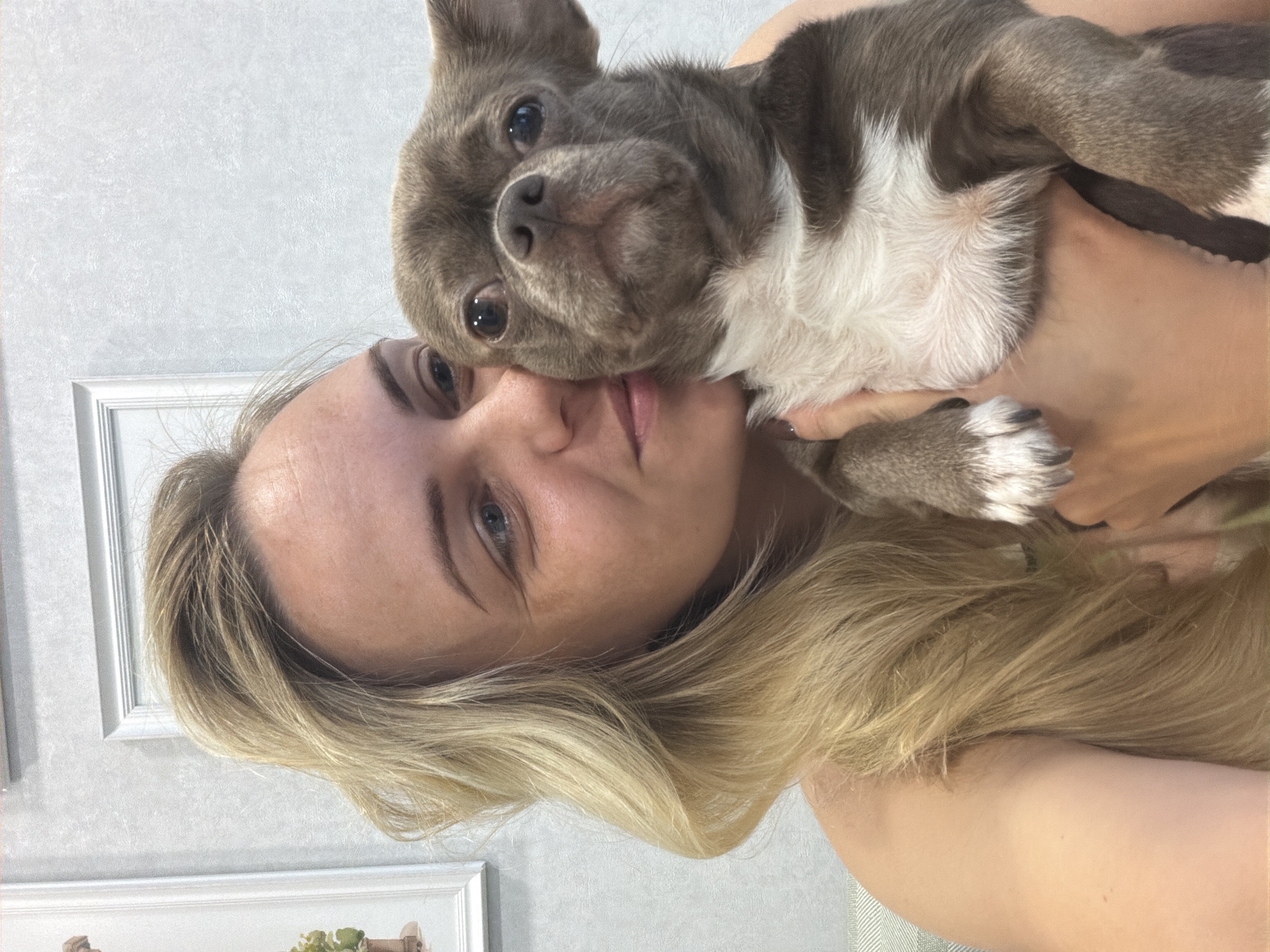 In a close-up selfie, a blonde woman with blue eyes and fair skin holds a small, brown and white chihuahua dog. The woman is smiling and looking towards the right side of the frame, while the dog is looking directly at the camera. The background appears to be an interior space with a textured, light-colored wall and a framed picture on the left. The lighting suggests an indoor setting. The image does not provide any information about the specific location within Votkinsk, Russia.