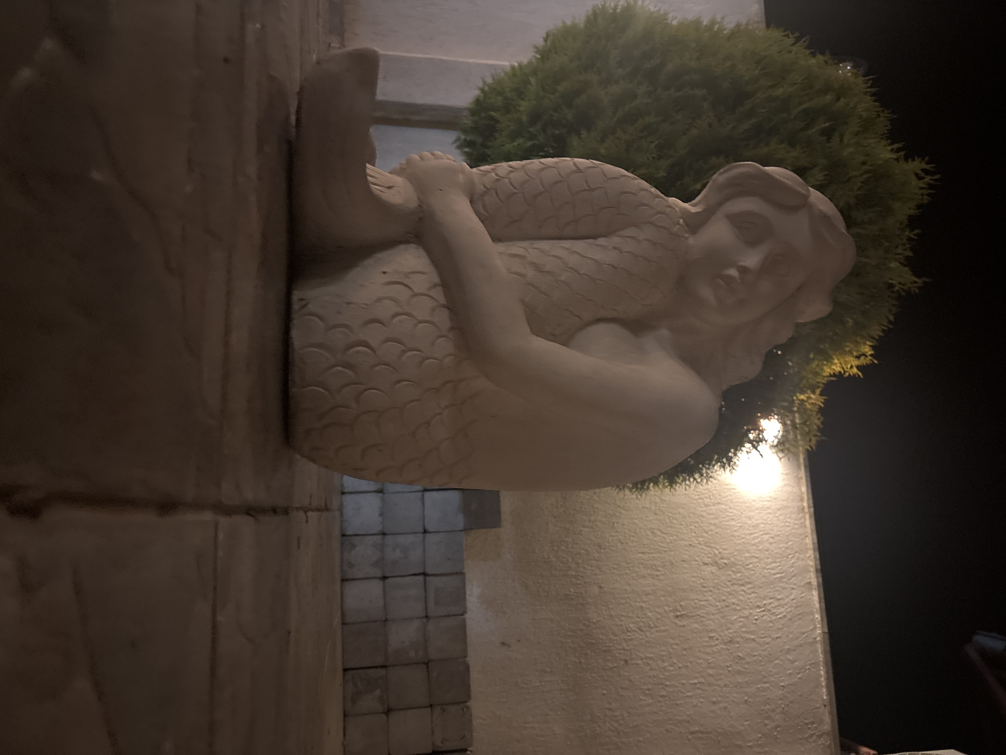 A mermaid statue, likely made of stone, is mounted on a column or wall. The statue is illuminated by a light source, causing highlights and shadows. A dense, round bush or shrub is behind the statue's head, creating a contrasting background. The scene appears to be outdoors at night, with darkness visible in the background. The column on which the statue is mounted is textured. The statue is on the side of a street. The city of Lom in Bulgaria is not discernible from the visual content of the image.