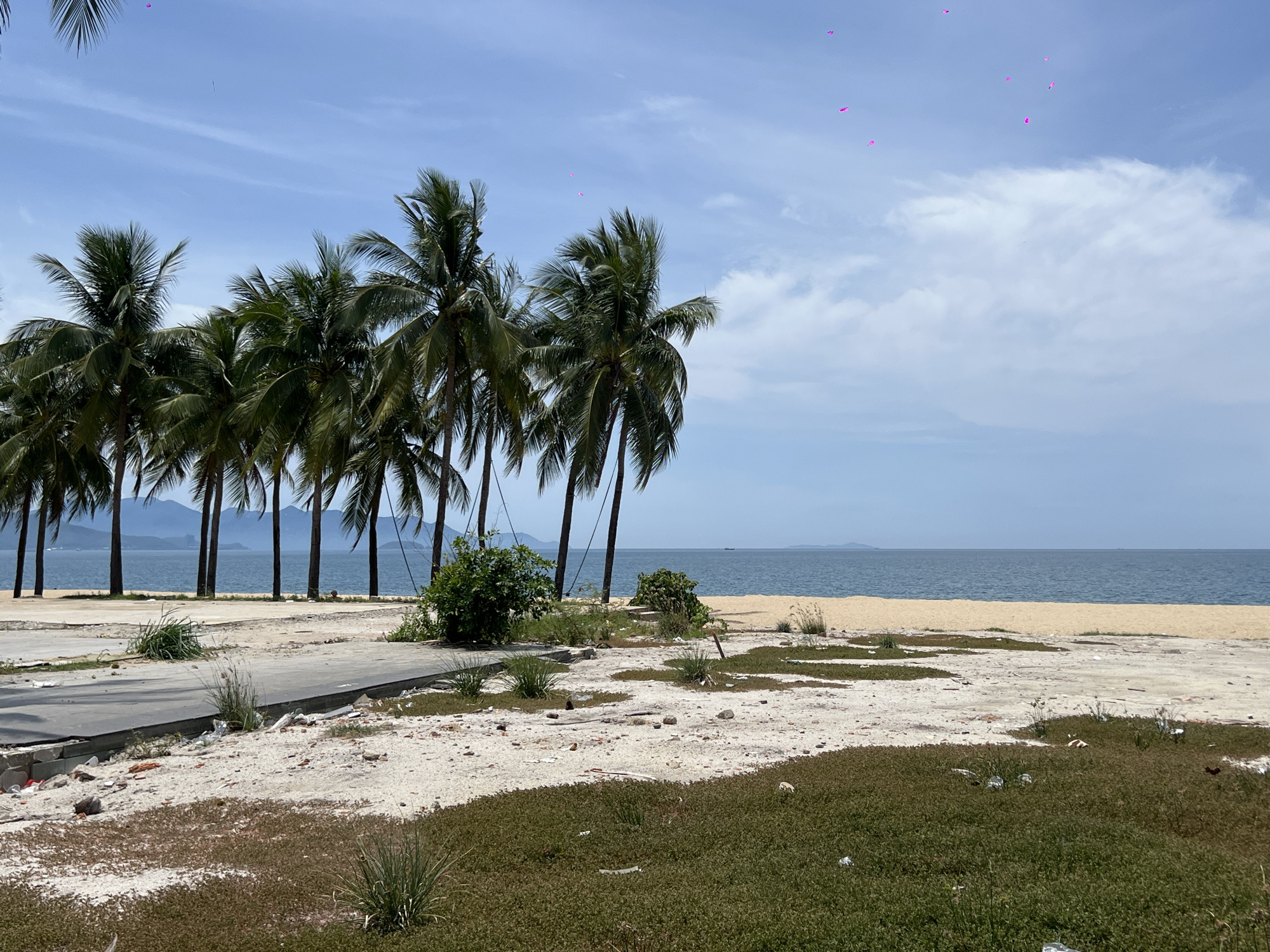 This image depicts a beach area in Nha Trang Ward, Vietnam. A line of palm trees stands tall against a bright blue sky with scattered clouds. The beach itself is a mix of sand and rough terrain with some debris and vegetation. In the distance, the calm, blue ocean meets the horizon. A few small, pink objects are visible in the sky, possibly kites or balloons. The scene appears to be in a somewhat undeveloped or neglected state, with remnants of construction or paved surfaces visible in the foreground.