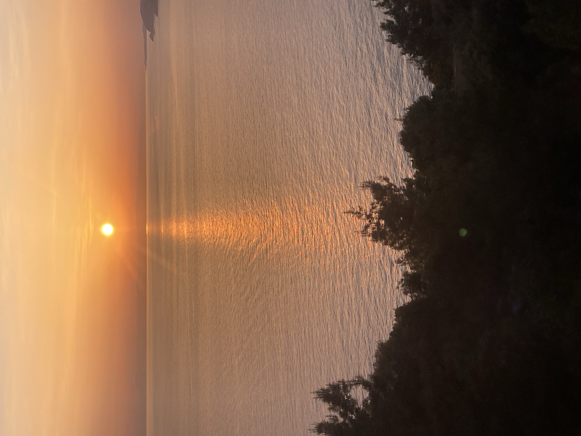 The image depicts a sunset over a body of water, likely the Mediterranean Sea, observed from a vantage point along the coast of Alanya, Turkey. A bright, golden sun is positioned near the horizon on the left side of the frame, casting a shimmering reflection across the water's surface. The sky and water exhibit hues of orange, pink, and gold, transitioning into lighter shades towards the center of the image. On the right side, dark, silhouetted foliage and trees obscure the shoreline, suggesting a location along a cliff or elevated area. The overall scene conveys a sense of tranquility and natural beauty.