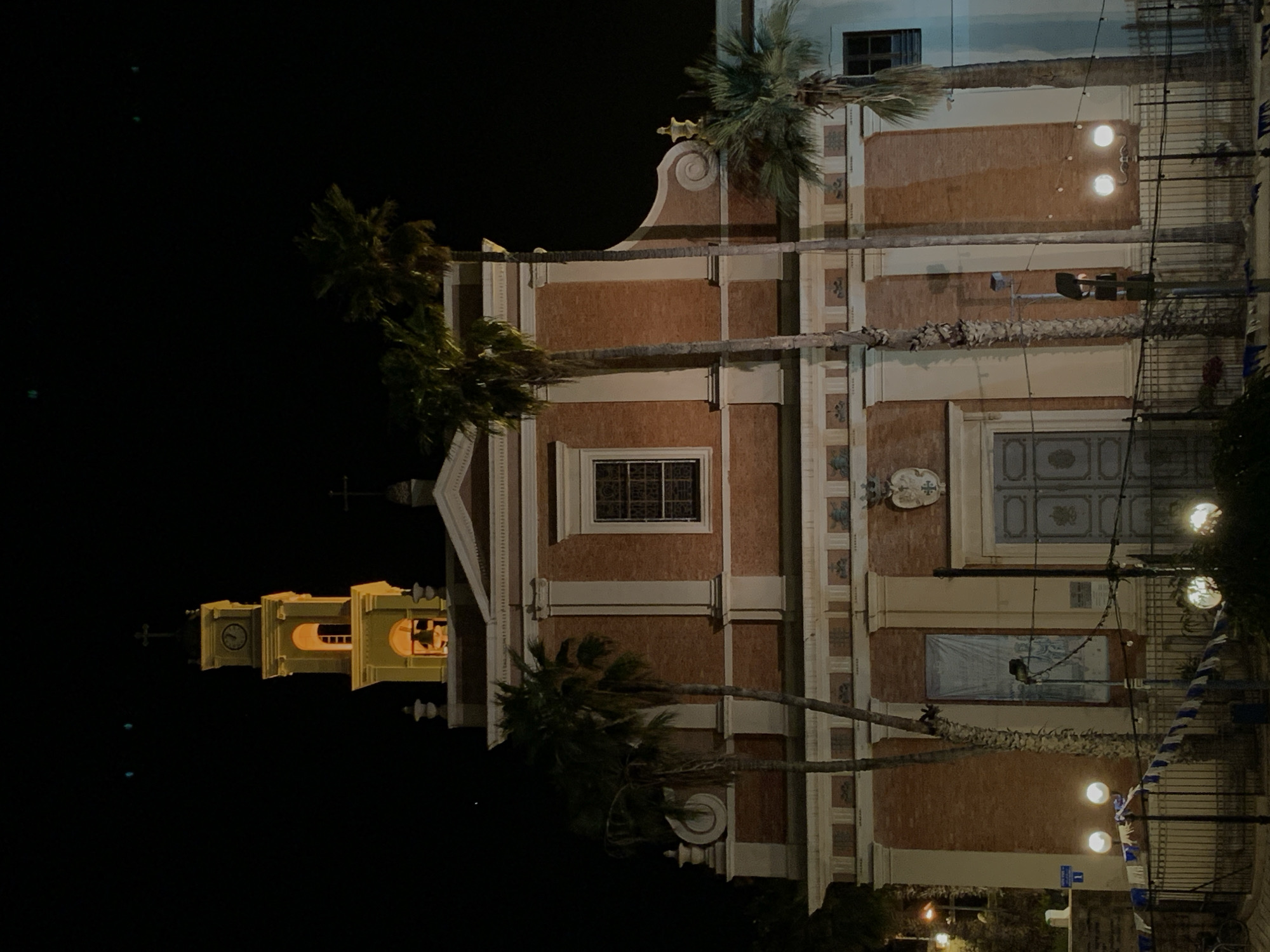 Here's a detailed description of the image:
**Scene:** The image captures a night scene featuring the St. Peter's Church located in Tel Aviv-Yafo, Israel. The church is the primary subject, illuminated against a dark sky.
**Environment:** The surrounding area appears to be a public space, evidenced by street lamps and possibly decorative flags or banners. Palm trees are interspersed in front of the church.
**Objects:**
* The church is made of a brick-like material, with some areas painted white.
* A clock tower stands to the left of the church, also illuminated.
* Palm trees flank the church facade.
* Street lamps provide light.
* Scaffolding is seen on the front side of the church, along the sides of the church.
* A cross is seen at the top of the church.
**People:** No people are directly visible in the image.
**Actions/Interactions:** No actions are evident.