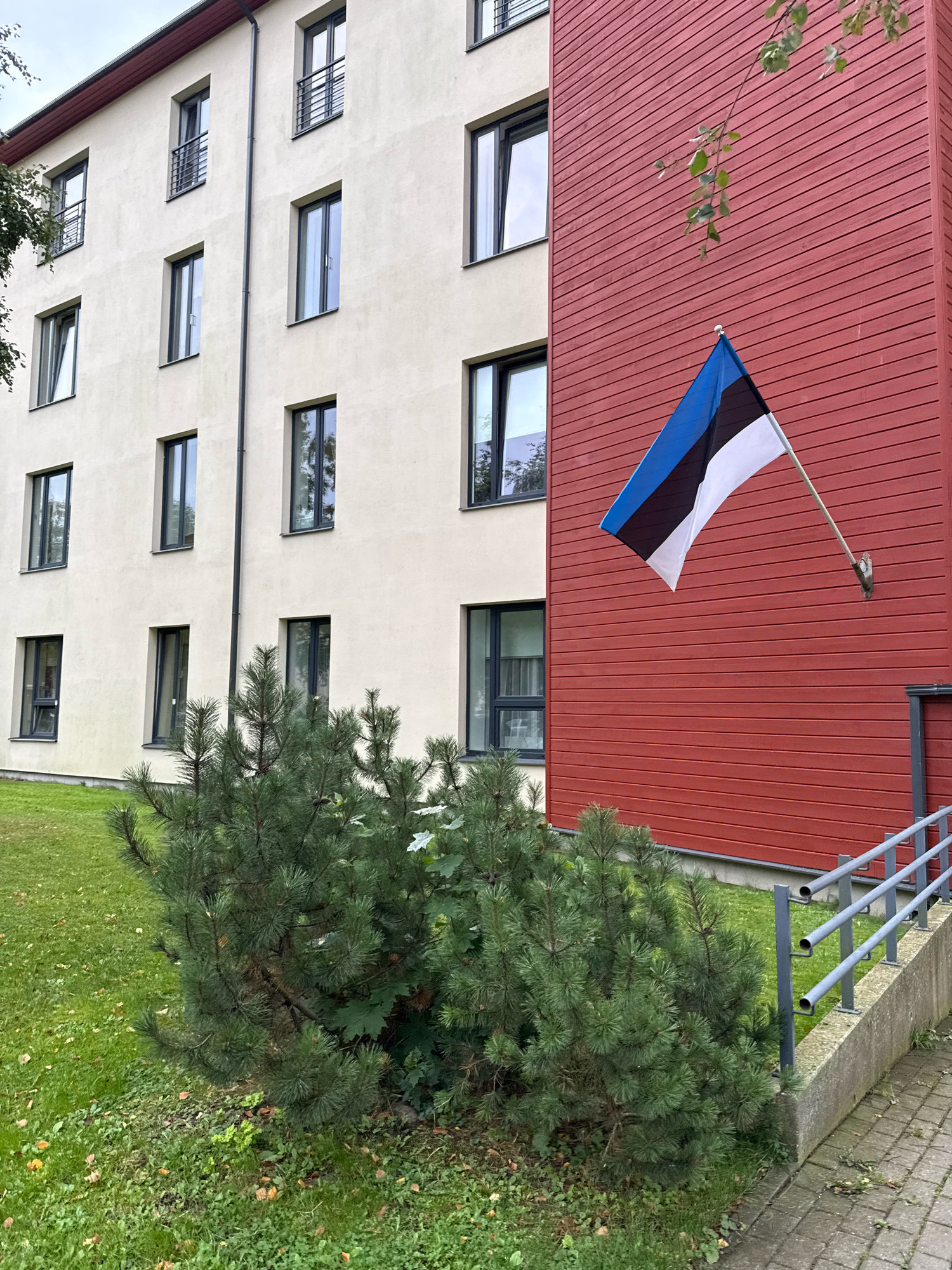 The image depicts a close-up view of a building in Tallinn, Estonia, featuring an Estonian flag prominently displayed on a red-paneled section of the exterior. The building has two distinct sections: one with a light-colored facade and multiple windows, and the other with the aforementioned red paneling. The Estonian flag, with its horizontal stripes of blue, black, and white, is attached to the red wall by a metal bracket and pole. In the foreground, a bushy evergreen tree is situated on a patch of grass. To the right, a concrete wall with a metal railing and a paved walkway is visible. The sky appears overcast.