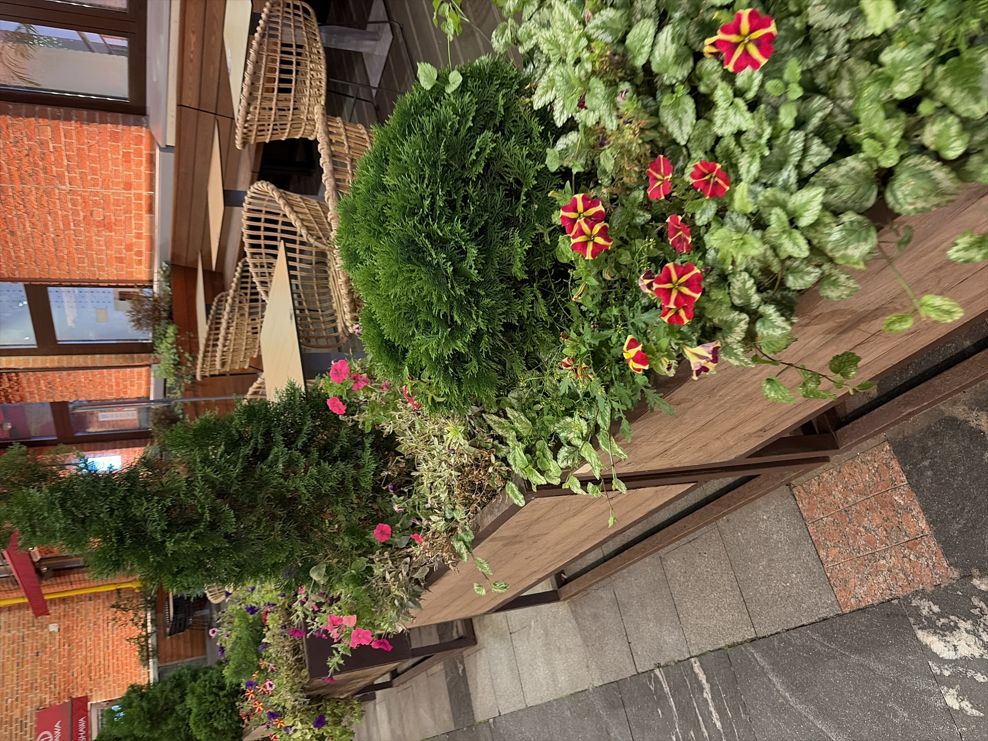 A sidewalk cafe is depicted in Moscow, Russia. The cafe features outdoor seating with wicker chairs and tables. Numerous potted plants and flowers, including evergreen trees and vibrant red and yellow petunias, are strategically placed in wooden planters along the sidewalk and in front of the seating area. The buildings in the background are constructed of red brick. The lighting suggests it is either dusk or night. No people are present in the image.