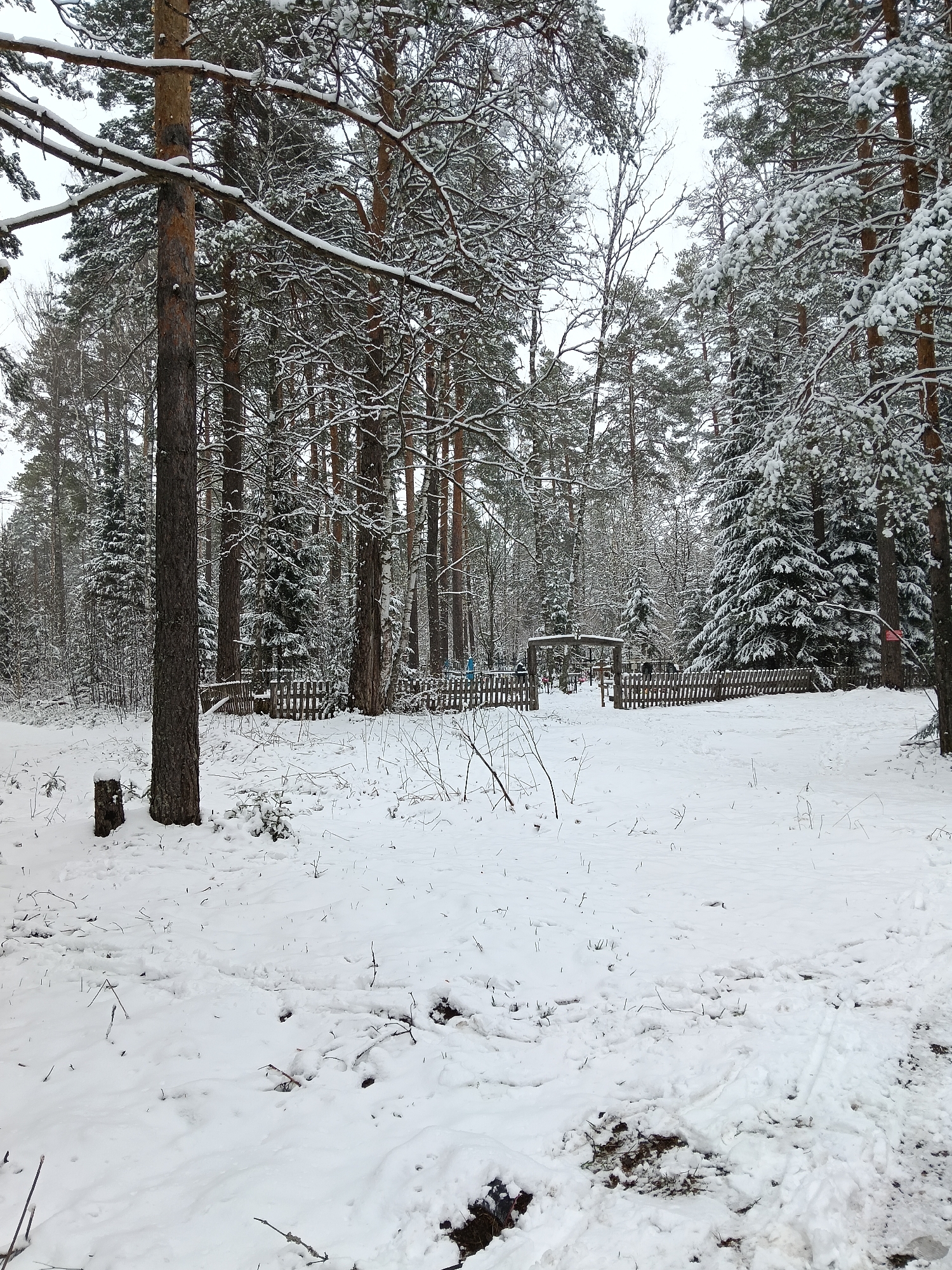 This media file depicts a serene winter forest scene in Красный Маяк, Russia. The landscape is blanketed in fresh, white snow under an overcast sky, suggesting daytime.
The foreground consists of a pristine snow cover, showing some faint tracks and scattered twigs. A small, snow-covered tree stump is visible on the left. The dominant subjects are tall evergreen trees, including pines and spruces, whose branches are heavily laden with snow, creating a picturesque winter aesthetic.
In the midground, a rustic wooden picket fence stretches across the frame, enclosing a section of the forest. A distinctive wooden gate or archway stands centrally within this fence, serving as an entrance. Beyond the fence, the forest continues densely, featuring more snow-dusted evergreens and some bare deciduous trees, possibly birches, identifiable by their light-colored bark.
Several indistinct figures, seemingly people dressed in winter clothing, are visible near and beyond the fence, particularly around the gate area. Their activities are not clear due to the distance, but they appear to be present within or near this fenced-off section of the forest.
The scene exudes a calm and peaceful atmosphere, characteristic of a snowy woodland. No discernible text is clearly visible on any signs or objects within the image, although a small, unreadable red sign is faintly visible on a tree to the right of the gate. The image captures the quiet beauty of a snowy forest environment.