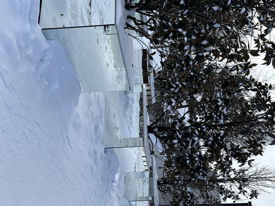 The scene depicts an outdoor winter environment in Plodorodny, Russia, under an overcast sky. The ground is covered by a thick, undisturbed layer of snow. A row of at least six mirrored, rectangular planter-like structures is positioned diagonally across the frame, extending from the lower left to the mid-right. Each structure encases the base of a small tree, which exhibits dark, broad leaves partially covered with snow. The mirrored surfaces reflect the snowy ground and surrounding trees, creating an illusion of partial transparency. Accumulations of snow are present on the flat tops of these structures and around their bases. Additional trees, some with bare branches, are visible in the background, along with a partially obscured, indistinct building on the far right. No individuals or active subjects are present.