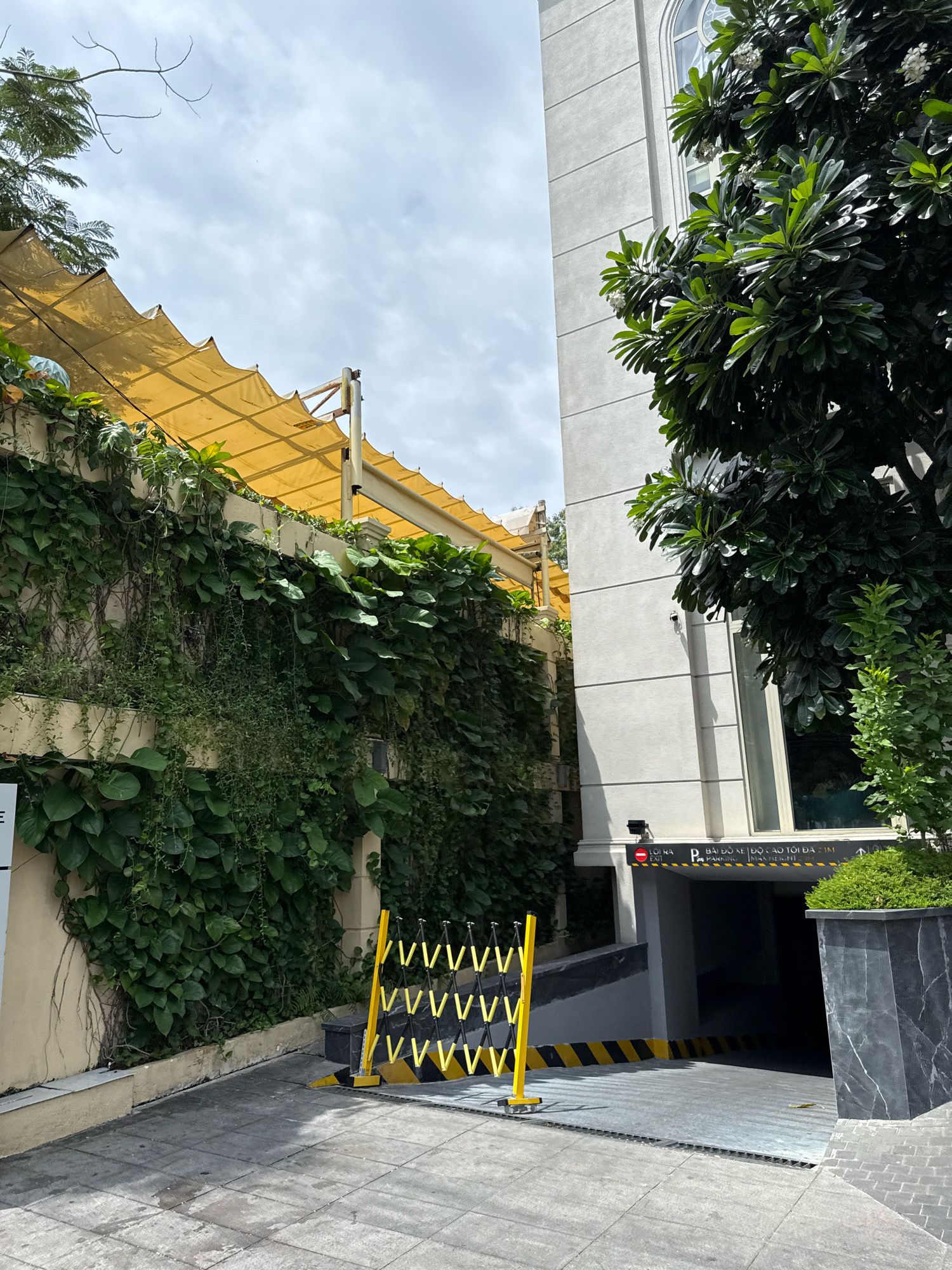 This image depicts the entrance to an underground parking garage in Nha Trang, Vietnam, on a cloudy day. A collapsible yellow barrier with black and yellow hazard stripes is set up in front of the entrance, which is marked with signs in Vietnamese and English indicating "EXIT" and "PARKING" with a "MAX HEIGHT" restriction. To the left of the entrance, a building wall is covered in lush green ivy, with a yellow awning overhead. A large tree with dark green leaves and some white flowers stands to the right of the entrance, adjacent to a modern white building with arched windows. The ground is paved with grey square tiles, and a metallic grate runs across the pavement in front of the parking entrance. A surveillance camera is visible on the white building to the left of the tree.