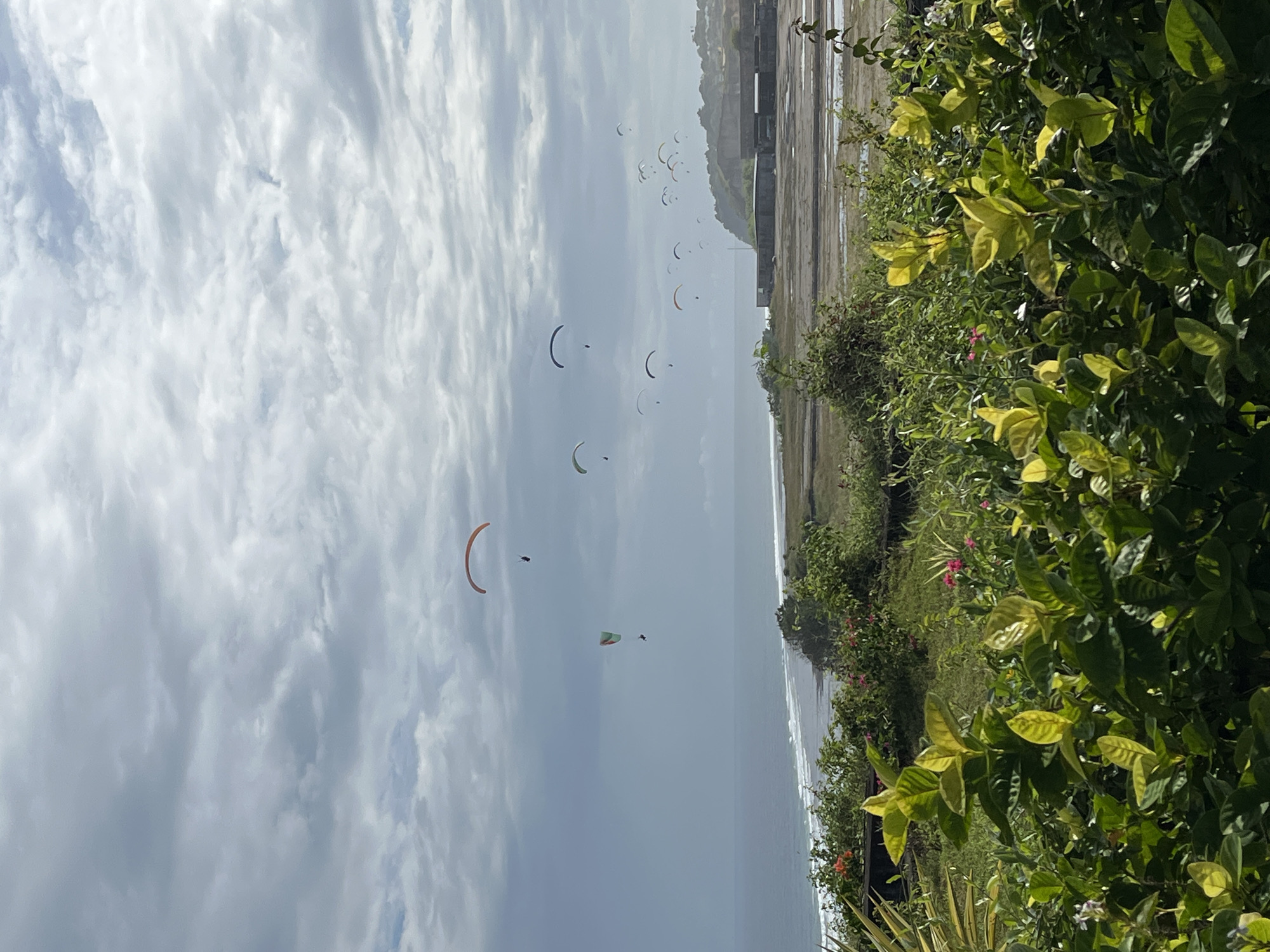 The image, taken in Kuta Selatan, Indonesia, displays a vibrant coastal scene bustling with paragliding activity under a cloudy sky. Numerous paragliders, distinguished by their colorful canopies (including prominent orange, green, and white ones), are seen soaring through the air above the ocean.
In the immediate foreground, dense, lush tropical foliage with bright green and yellowish-green leaves, interspersed with small pink and white flowers, frames the right side of the view. Beyond this vegetation, a long stretch of coastline with gentle waves breaking on the shore meets the expansive sea. Further inland, to the right, there's a wide, flat paved or concrete area, and in the distance, hills or cliffs with some indistinct structures are visible. The sky is predominantly covered by white and grey clouds, indicating an overcast but bright daytime, likely late morning or early afternoon, ideal for outdoor sports.
The central activity is paragliding, with many individuals enjoying the sport above the scenic coastline. The overall mood is one of recreation and outdoor enjoyment. No visible text is present in the image.