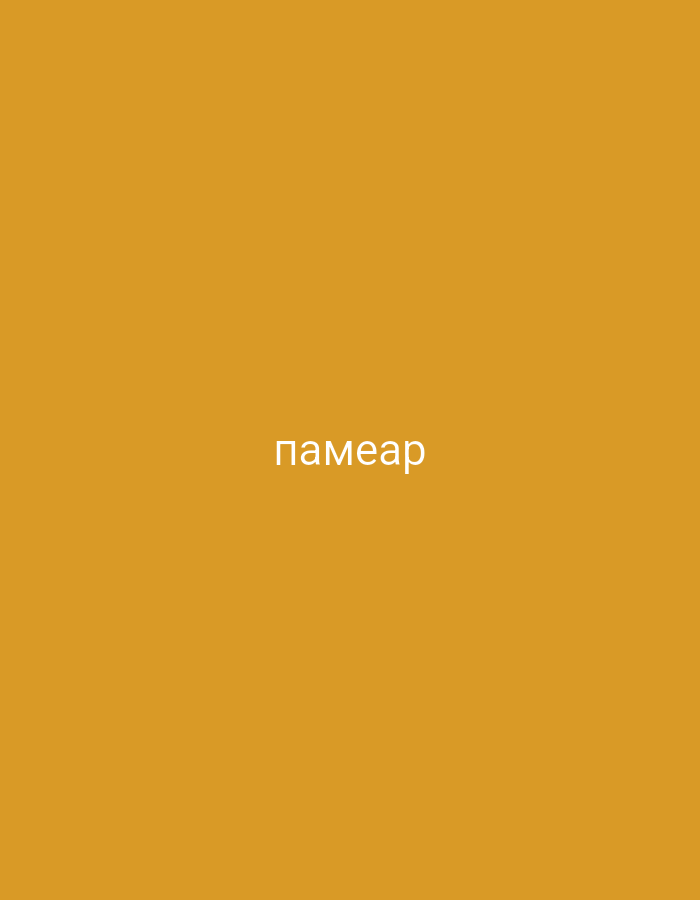 The image features a minimalist composition with a solid, plain background in a warm, muted orange-yellow or mustard color. Centered on this background is the word "памеар" written in white text, utilizing a Cyrillic script. No people, objects, or specific scenes are depicted beyond this. There is no activity or event taking place. The image lacks any visual cues for time of day, weather, or a particular location. However, based on the provided context, the image is associated with Areni, Armenia. The focus is entirely on the colored background and the visible text.