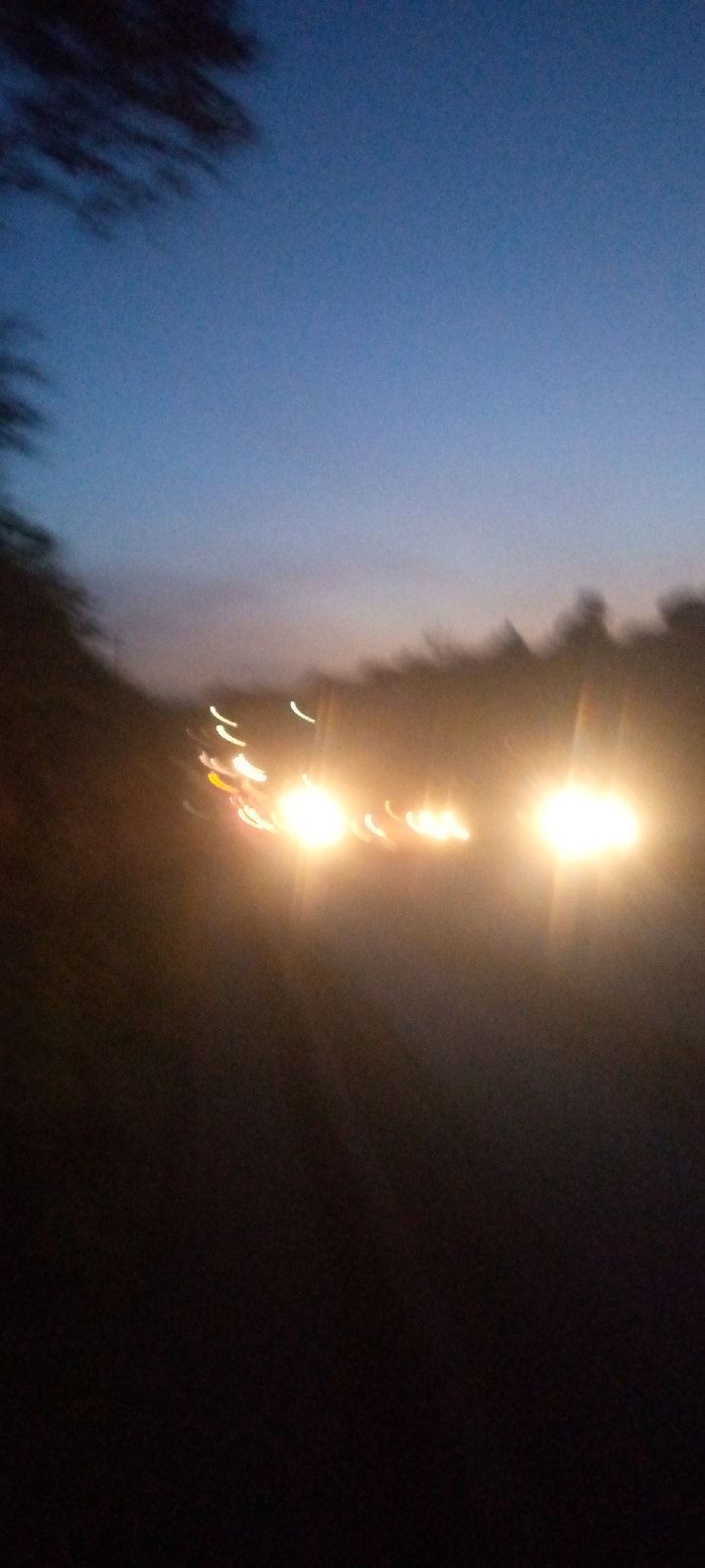 This media file depicts a motion-blurred outdoor scene, likely a road or highway, at twilight or night in Kenol, Kenya. The primary subjects are multiple streaky light sources, predominantly bright white and yellow, which are consistent with vehicle headlights and perhaps some red taillights. These lights are heavily elongated due to motion blur, suggesting either a moving camera or fast-moving vehicles.
Dark, indistinct shapes resembling trees or dense foliage line the sides of what appears to be a road, fading into the dark foreground. The upper portion of the image shows a deep blue sky, indicating the time of day is either late dusk, twilight, or early dawn, given the interplay of artificial light and the remaining ambient light in the sky.
The activity captured is the movement of vehicles, seen through their illuminated paths. No specific weather conditions are discernible, and the overall mood is dynamic and somewhat abstract due to the blur. There are no visible people or text in the image.