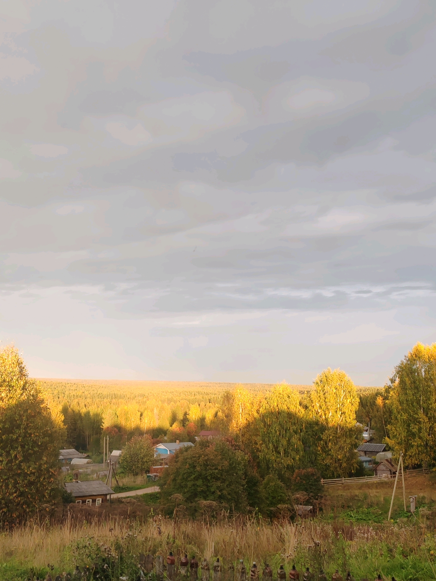 The image depicts a rural landscape at dusk, likely in or around the city of Chukhloma, Russia, judging by the architecture and vegetation. The foreground features tall, dry grasses and some low-lying green bushes, with a rustic wooden fence made of posts and weathered boards. Beyond this is a cluster of small, traditional wooden houses, some with visible windows and chimneys. A winding dirt road passes through the settlement. Surrounding the houses is a dense forest, with trees displaying the vibrant colors of autumn foliage, bathed in the warm, golden light of the setting sun. The forest stretches towards the horizon, where it meets a pale, overcast sky filled with soft, diffused light. The overall impression is one of a peaceful, autumnal evening in a remote Russian village.