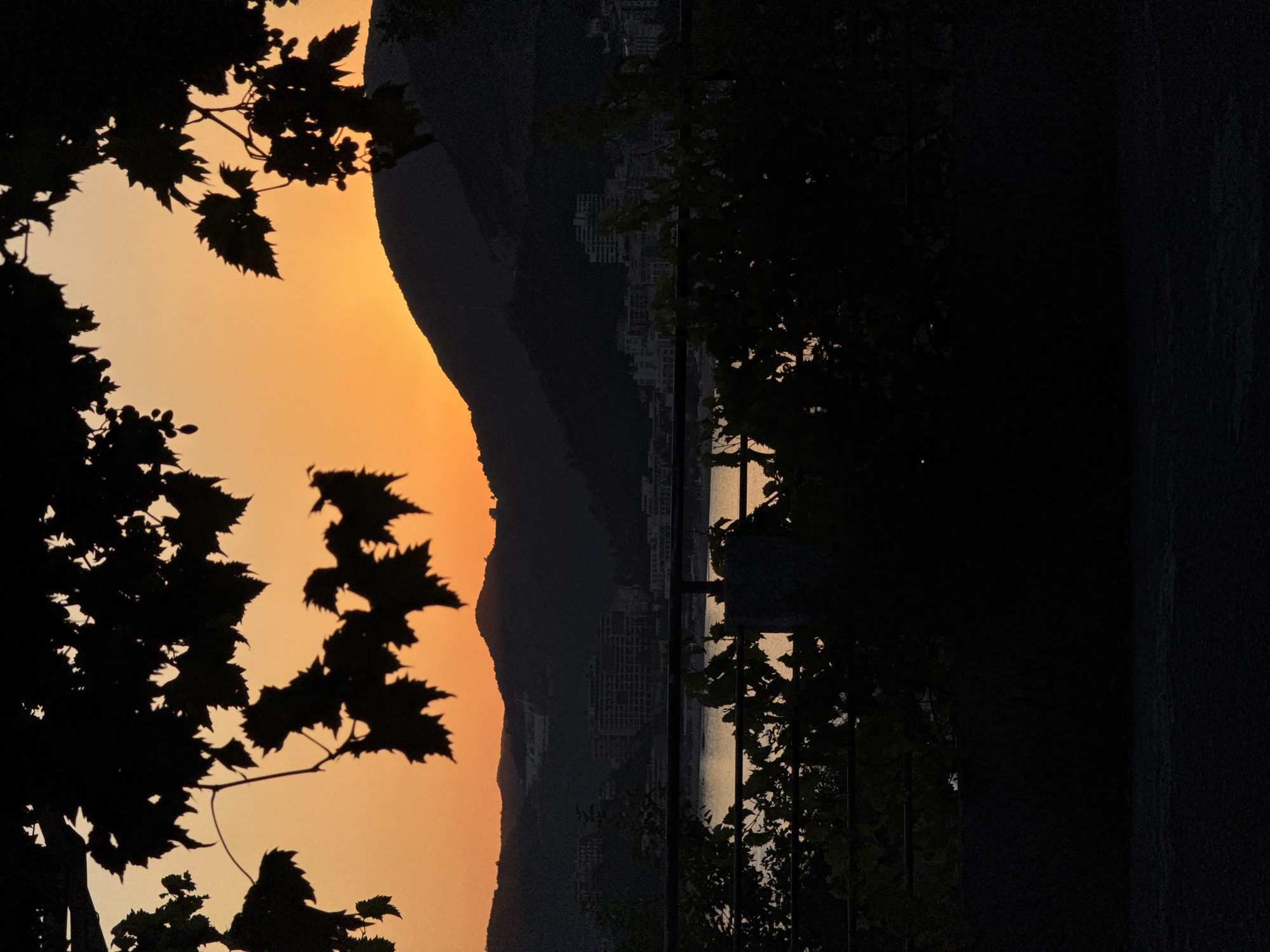 The image depicts a silhouetted landscape during sunset, with dark foliage in the foreground obscuring much of the view. Beyond the foliage, a body of water is visible, reflecting the orange hues of the sky. Across the water, a town or city is nestled at the base of dark, rolling hills. Buildings with multiple stories are visible, appearing as faint outlines against the darkening landscape. The sky is a gradient of warm orange and yellow, transitioning to a deeper orange at the horizon. The overall scene suggests a view from an elevated position overlooking a coastal town at dusk. The location is identified as Trap, Montenegro.