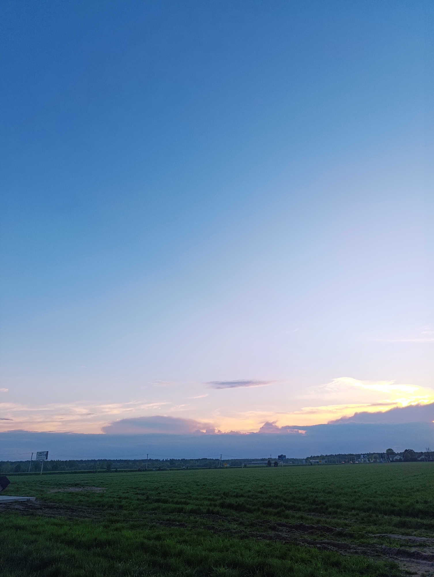 The image captures a wide, grassy field in Chernogolovka, Russia, under a vast sky transitioning from blue to pastel hues near the horizon. A thin line of trees and vegetation forms a backdrop to the field, with glimpses of buildings suggesting a town edge. The sky features scattered clouds, some tinted with orange and pink from the setting sun. In the bottom of the image, tire tracks mar the grassy terrain, indicating vehicle activity. A road sign is visible on the left side of the image.