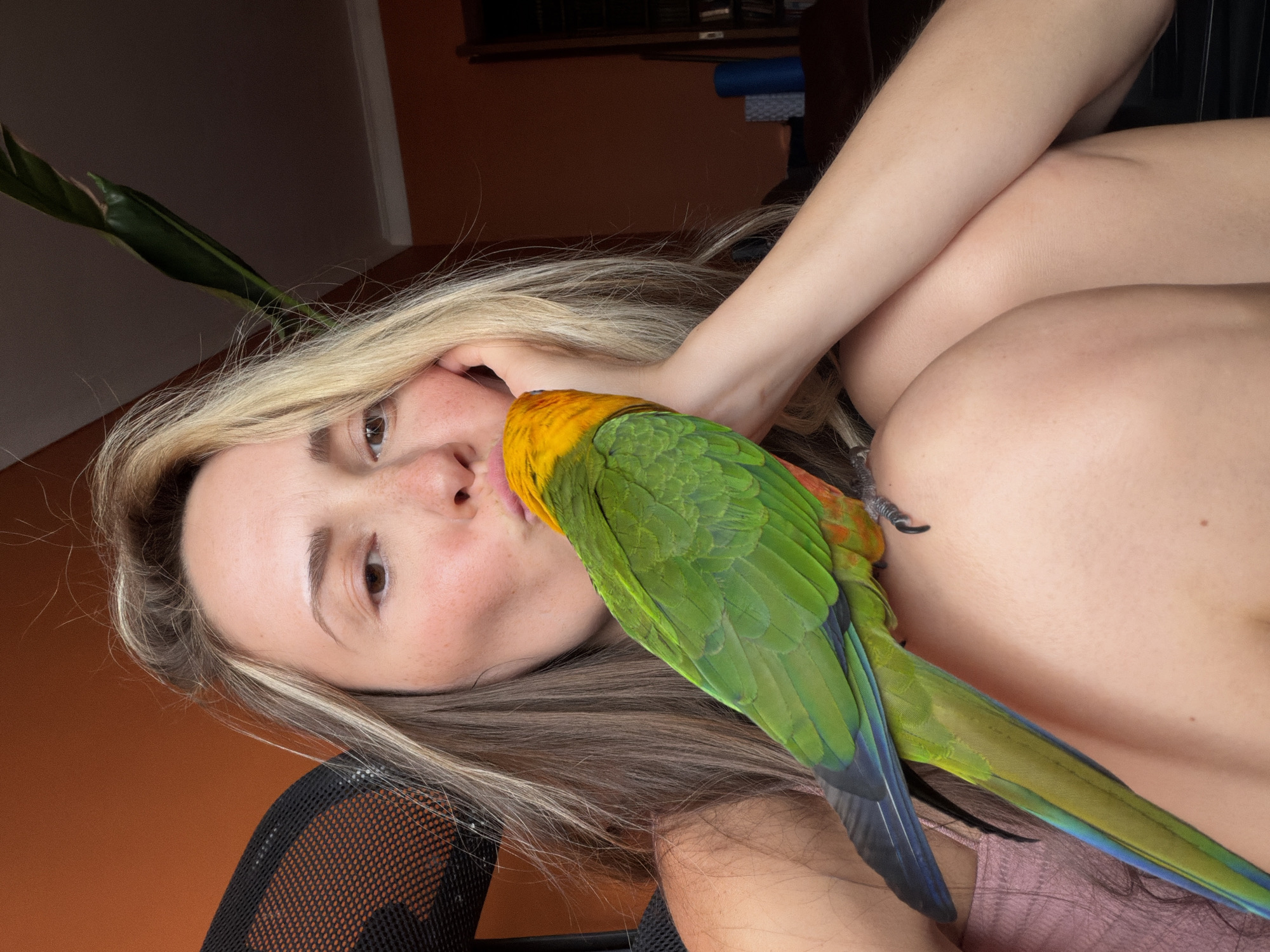 A young woman with blonde-streaked brown hair, wearing a pink top, is seated indoors, leaning her head on her hand and puckering her lips. A green and orange parrot is perched on her shoulder and chest, its beak touching her lips. The background shows an orange wall, part of a black chair, and a plant. There are no visible elements in the image that suggest a specific location within the city of Khimki, Russia.