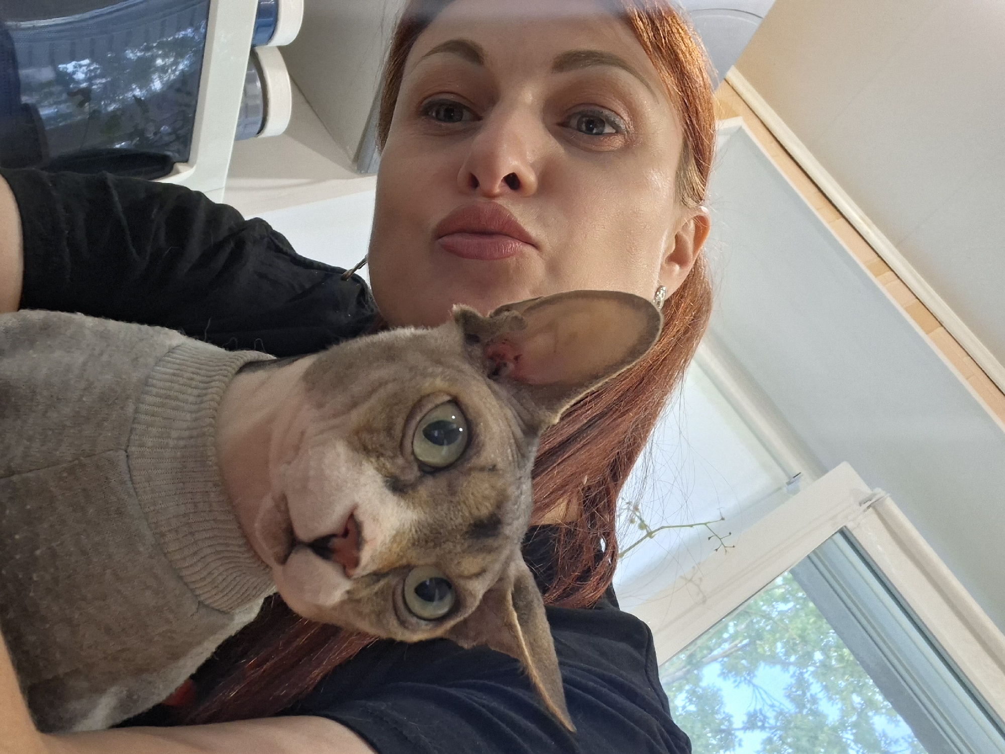 A woman with long, reddish-brown hair and fair skin, wearing a black t-shirt, is holding a Sphynx cat. The cat, which has a gray tabby pattern on its head and body, is wearing a light gray sweater. The woman's face is angled towards the camera, and she has makeup on. The cat's face is also facing the camera, with large green eyes. They are indoors, with a window visible in the background showing trees and a blue sky. There are some shelves and containers visible on the left side of the image, suggesting a domestic setting, possibly a home or grooming salon. The scene appears to be an informal selfie taken by the woman. The image does not contain enough information to determine if the location is in Myadzyel, Belarus.