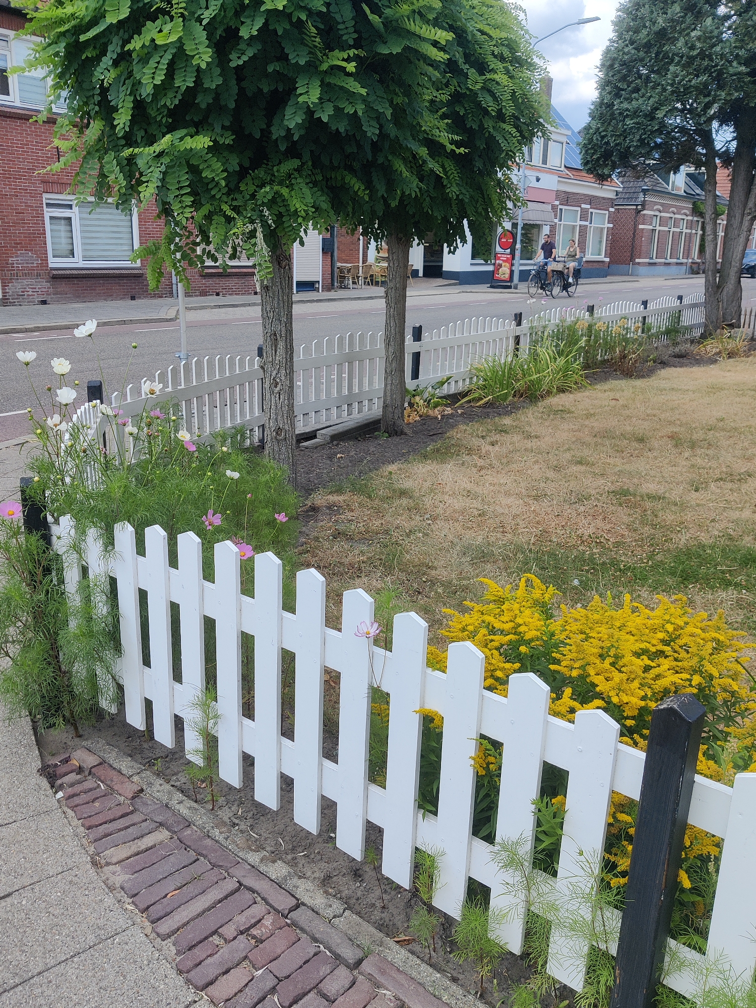 The image depicts a street scene in Winterswijk, Netherlands, characterized by a white picket fence bordering a sidewalk and a grassy area. The fence encloses a garden with white and pink cosmos flowers, interspersed with green foliage. Beyond the fence, a paved street runs parallel to a row of brick buildings. Two individuals are visible on bicycles riding on the street, with one person in front and another behind. Trees with dense green foliage are situated along the street, with one tree in the foreground on the left and another on the right. The sky is overcast.