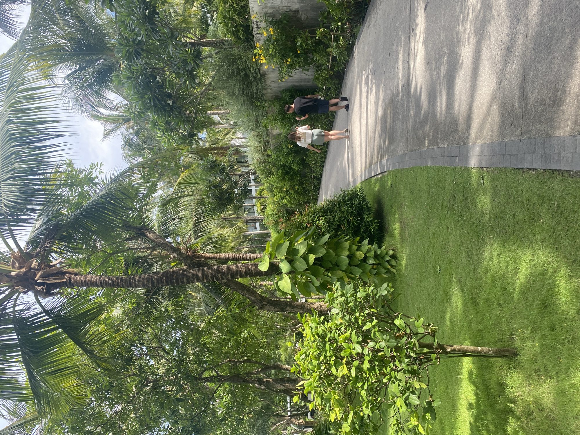 Scene in Bac Cam Ranh Ward, Vietnam, depicts a tropical outdoor setting. Two individuals walk along a paved pathway. The path is bordered by lush green lawns and various tropical plants and trees, including palm trees. Shadow patterns from the trees fall onto the path. A concrete wall or structure is visible along part of the path.