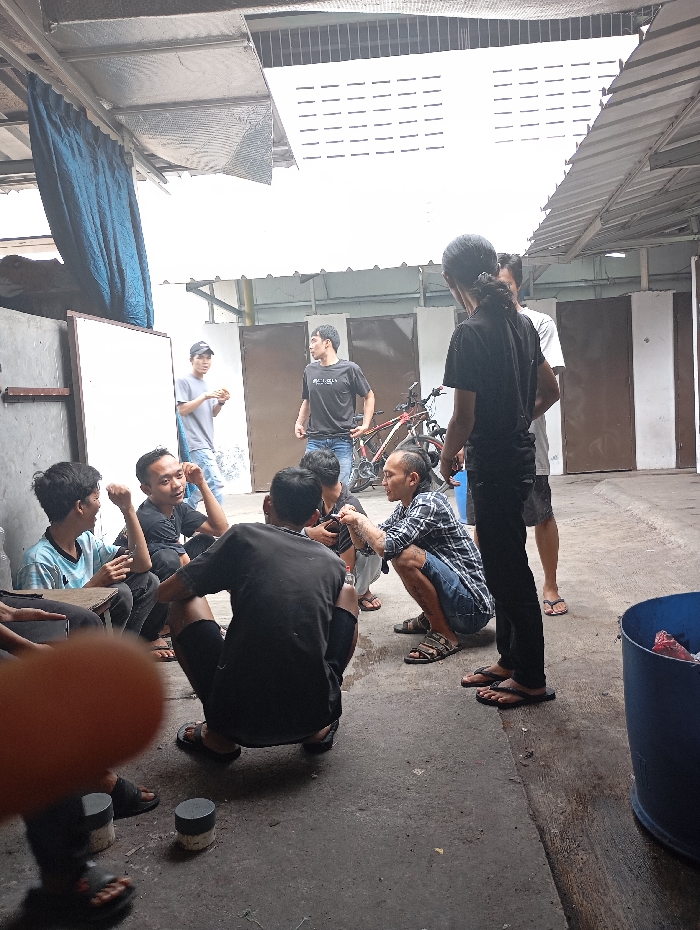 Memory