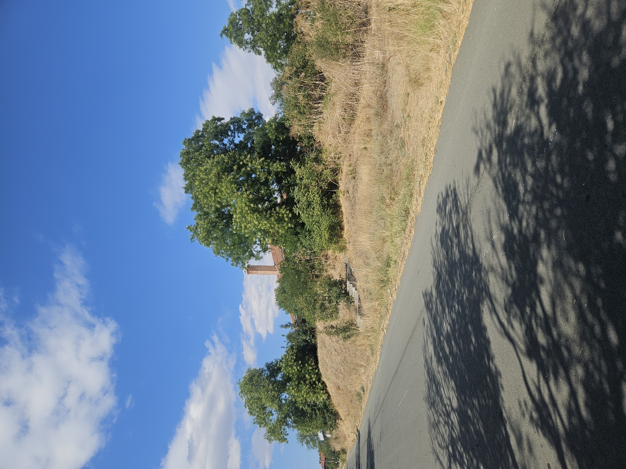 A paved road curves to the right, leading into a scene of dry, golden grass and green trees under a bright blue sky with scattered white clouds. On the left side of the road, shadows of trees are cast across the asphalt. A slight incline rises from the road, covered in dry grass and dotted with sparse green bushes. A house with a red-tiled roof and a brick chimney is visible on the elevated ground, partially obscured by trees. The overall impression is of a rural or semi-rural setting in the village of Ekzarh Antimovo, Bulgaria, on a sunny day.