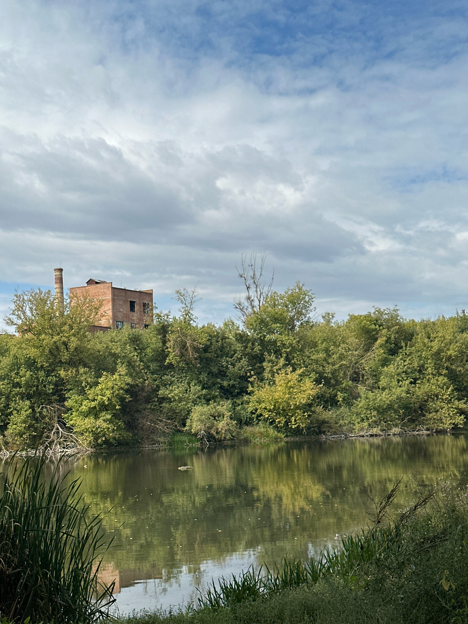 The image depicts a tranquil scene by a body of water, with a brick building and a smokestack visible behind a dense line of trees. The sky is partly cloudy. The water's surface reflects the surrounding greenery and the building. The foreground shows tall grasses and other vegetation growing along the water's edge. The location is identified as Makiv, Ukraine.