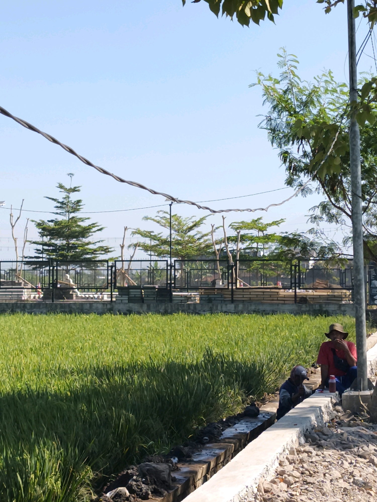 In Majasetra, Indonesia, on a clear day, a scene unfolds along a water channel adjacent to a vibrant green rice field. Two men are present. One man, wearing a red shirt and a wide-brimmed hat, is seated on a concrete embankment, appearing to be taking a break. He is looking to his right and has a bottle with a red cap near him. Beside him, another man, dressed in a dark blue jacket and a dark cap, is crouched by the channel, actively engaged in some task. A flock of ducks is visible in the water channel near the crouching man. Beyond the rice field, a black metal fence encloses an area with various trees and structures, suggesting a park or recreational space. Overhead, power lines traverse the frame against a pale blue sky. The foreground shows a mix of loose gravel and concrete.