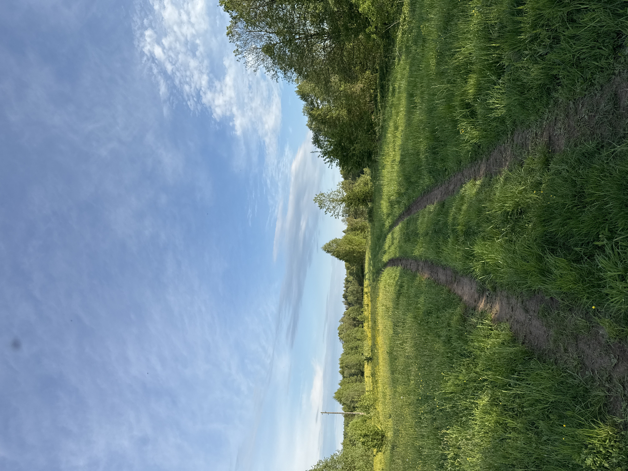 The image depicts a dirt path winding through a grassy field. Trees border the field. The sky is blue with scattered clouds. The location is Egorii, Russia.