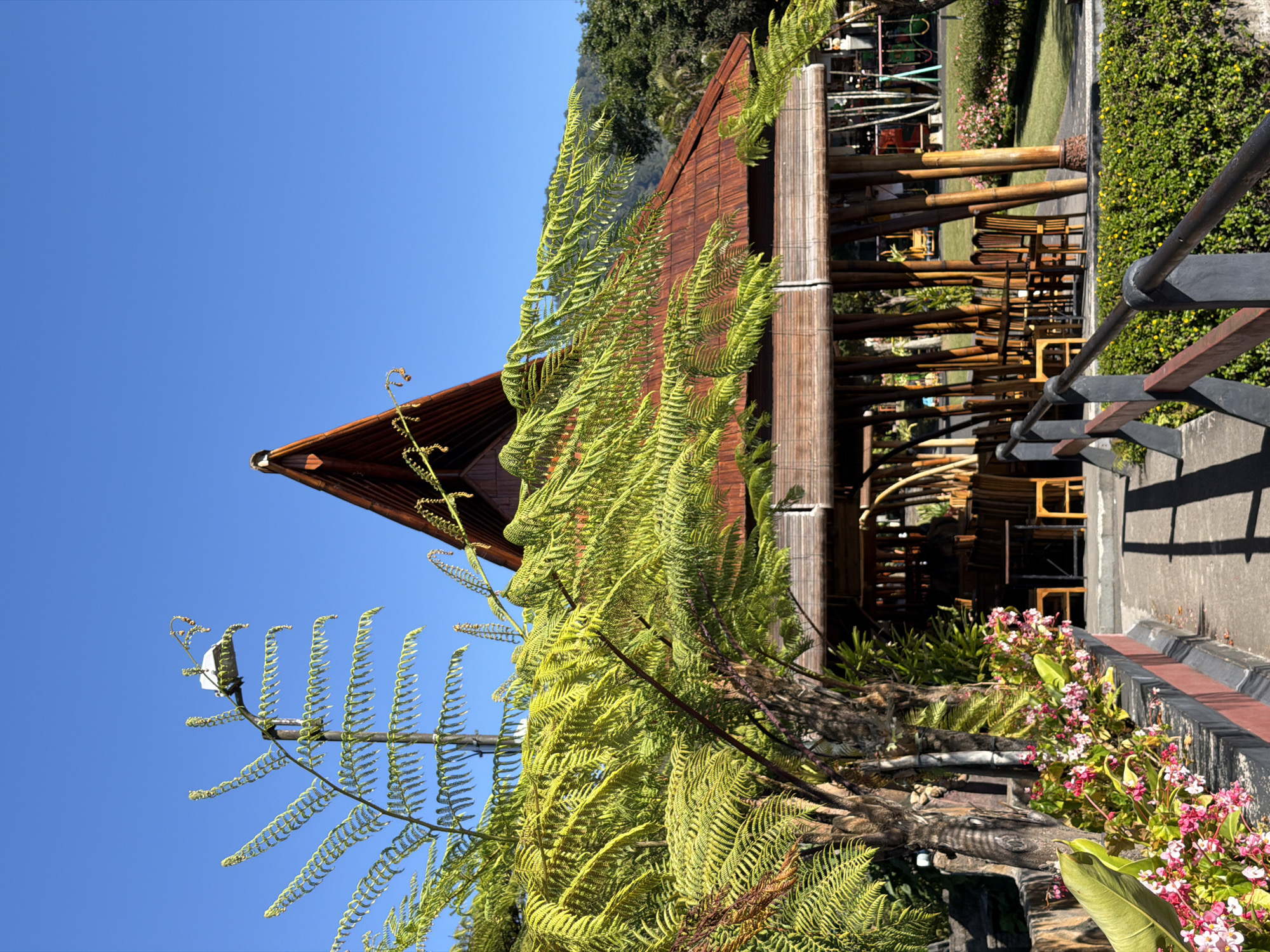 This is a medium-shot, eye-level, exterior photograph taken on a clear, sunny day of a traditional outdoor dining pavilion. The pavilion has a steep, pyramid-shaped roof made of reddish-brown wooden shingles. Its walls are constructed from vertical bamboo poles, supporting a thatched roof or awning over the dining area. Inside, several wooden tables and chairs are arranged for seating. In the foreground, a walkway or path leads toward the pavilion, bordered by a low black and red railing. To the left of the path, vibrant pink and white flowers bloom along a stone wall. A large fern with feathery green fronds dominates the left side of the frame, its leaves obscuring parts of the pavilion and the sky. Beyond the pavilion, a lush green lawn is visible, with scattered trees and distant hills under a bright blue sky. In the background, playground equipment, including swings, is partially visible. The overall scene suggests a serene and inviting outdoor dining or recreational area.