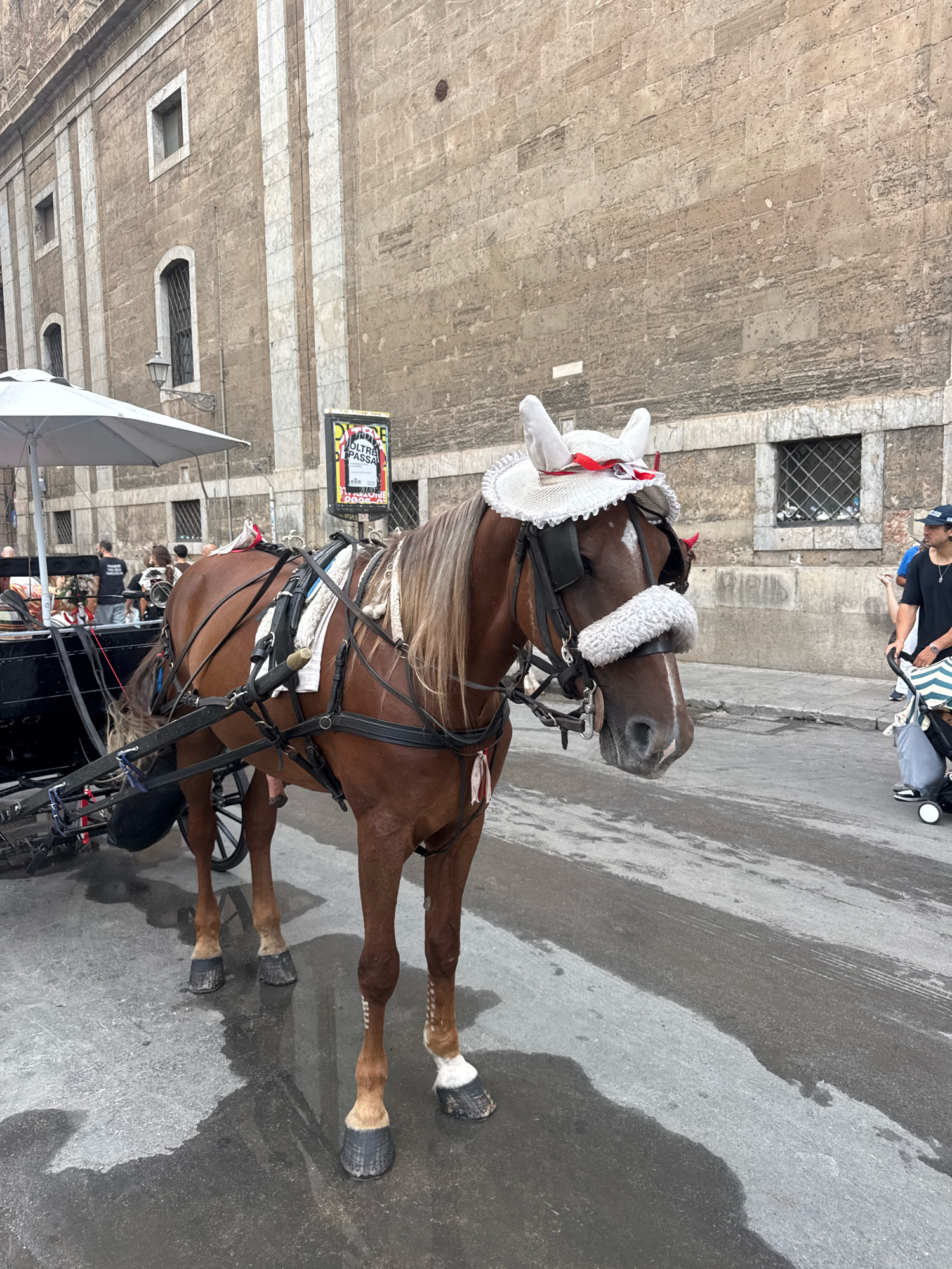 A brown horse, adorned with a white decorative hat featuring red ribbons and a fluffy white band across its eyes, stands in a street in Palermo, Italy, tethered to a black carriage. The horse is equipped with a full harness. The street surface appears wet and reflects the overhead light. Behind the horse, a large stone building with arched windows lines the street. Several people are visible in the background, including individuals standing near the carriage, a person pushing a stroller, and a woman walking. A poster board with Italian text is positioned on the right side of the image, near the building. An umbrella stands to the left of the horse.