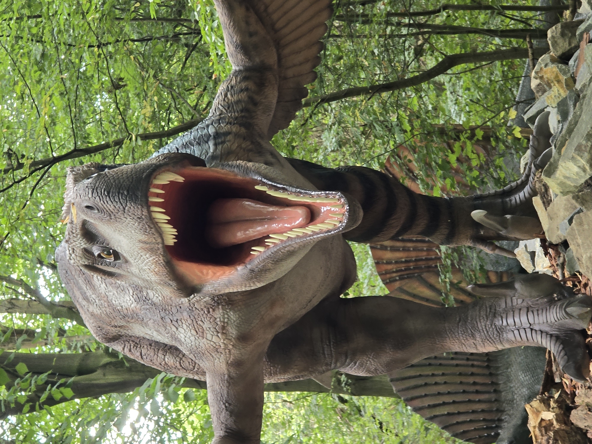 A life-sized animatronic model of a Tyrannosaurus Rex is displayed in an outdoor exhibit in the city of Vyškov, Czechia. The model is positioned aggressively, with its mouth wide open and sharp teeth exposed, as if roaring. Its body is detailed with textured skin and powerful legs, one of which is planted firmly on a rocky outcrop in the foreground. Behind the T-Rex, a partial view of another dinosaur model with a sail-like structure is visible. The environment consists of a dense forest with green foliage and trees, suggesting a naturalistic habitat for the dinosaur models. The lighting indicates it is daytime.