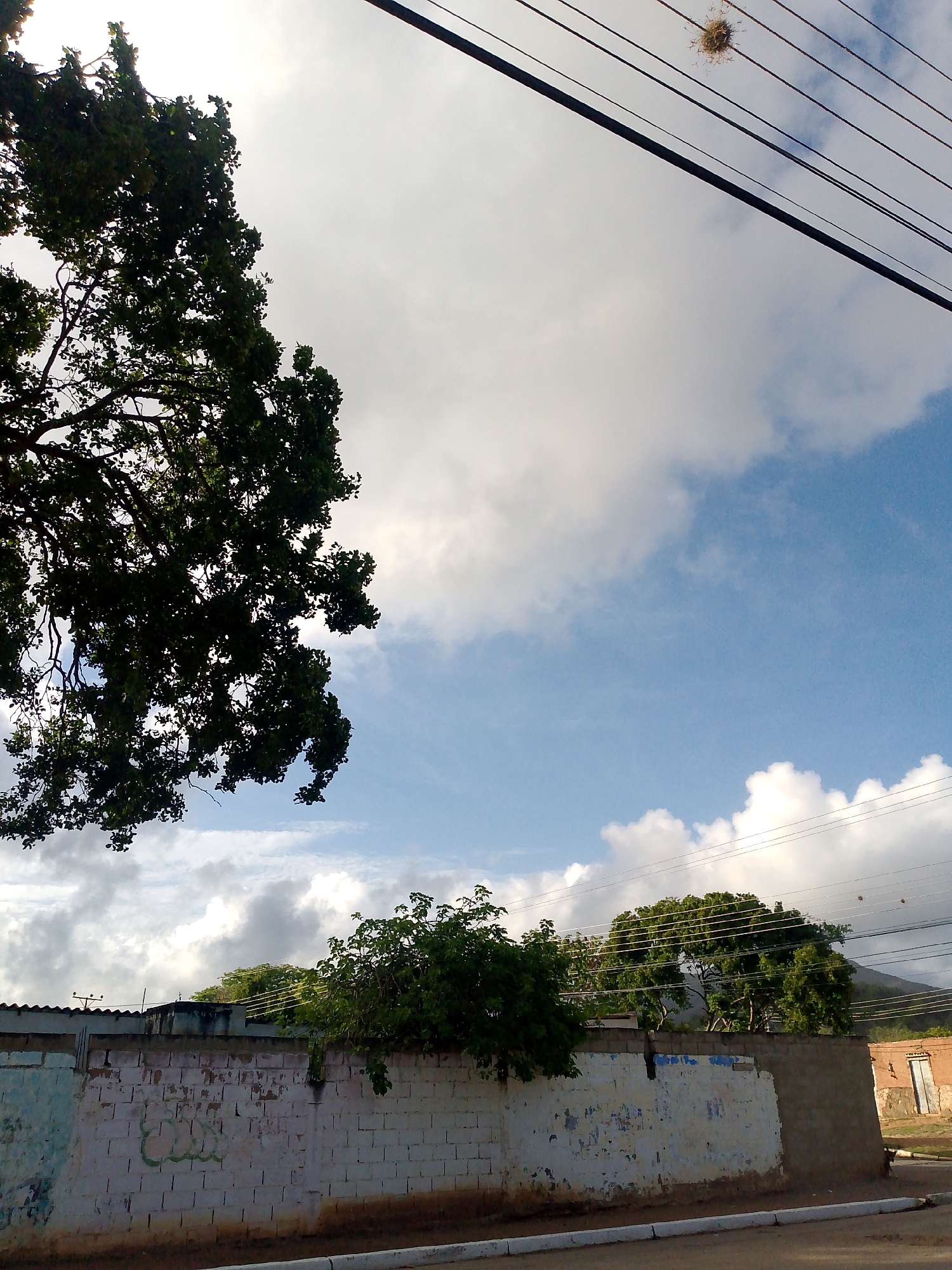 The image depicts an outdoor scene, likely in the city of La Tagua, Venezuela. In the foreground, a weathered brick wall runs horizontally across the frame. The wall exhibits signs of age and wear, with peeling paint and some graffiti visible on its surface. Beyond the wall, a paved road is partially visible.
To the left of the wall, the dense foliage of a large tree with dark green leaves extends into the upper portion of the image. The sky above is a mix of blue and white clouds, with power lines crisscrossing the upper right quadrant. A bird's nest is clearly visible attached to one of the power lines.
Further in the background, behind the wall and more trees, a light brown building with a closed door is situated on the right side of the image. Hills or mountains are faintly visible in the distance, suggesting a semi-rural or suburban setting within La Tagua. The overall impression is one of a somewhat neglected but functional urban or semi-urban environment.
