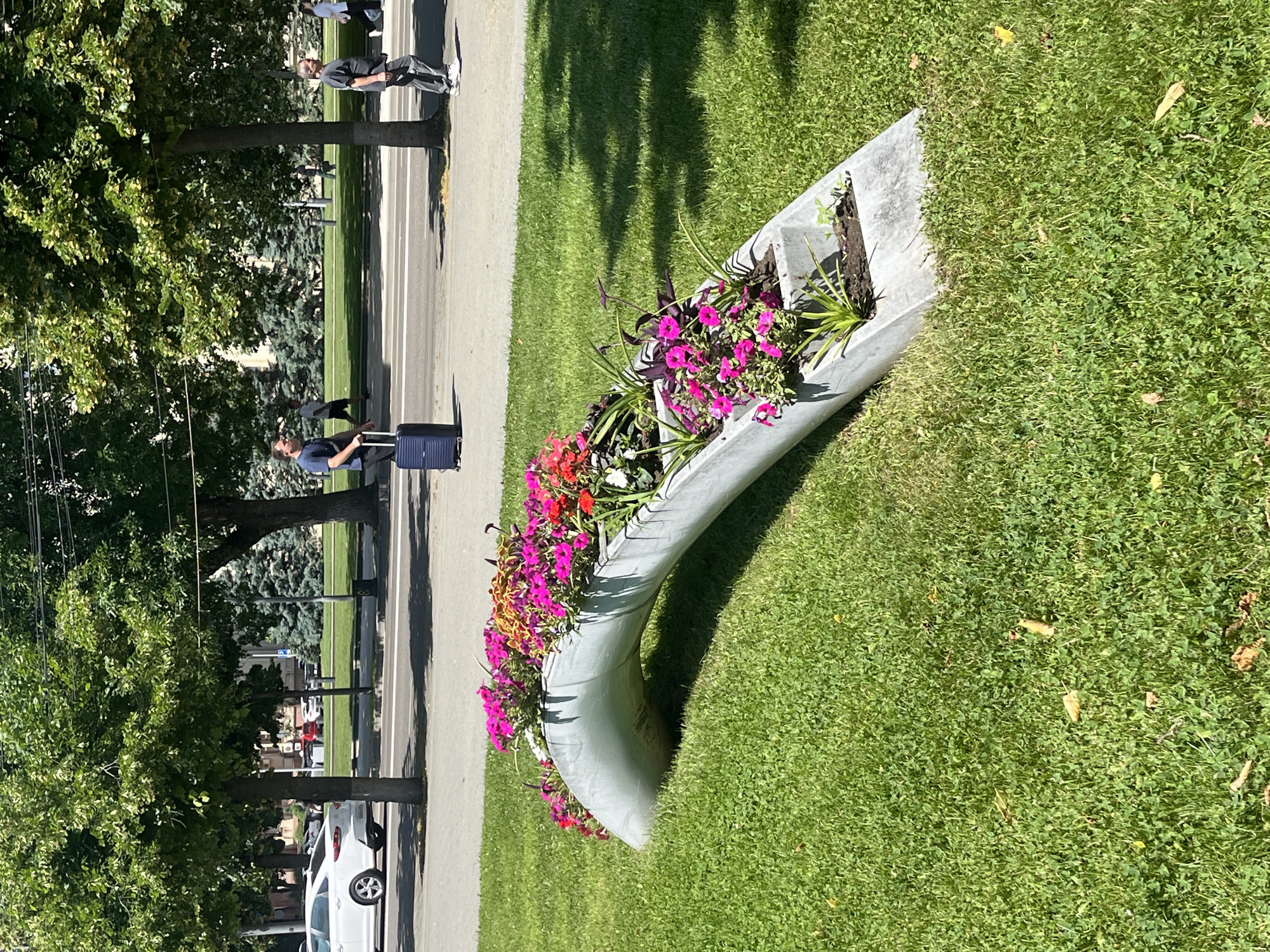 The image depicts a sunlit urban scene in Krasnodar, Russia, featuring a distinct curved concrete planter overflowing with vibrant pink and red flowers. The planter is positioned on a neatly mown green lawn, casting a shadow. In the background, a paved walkway runs parallel to a street with passing cars, including a white sedan on the left. Several trees with lush green foliage line the walkway, interspersed with evergreen trees. A man in a dark blue t-shirt is standing on the walkway, holding the handle of a dark blue rolling suitcase. Further along the walkway, another man in a dark grey t-shirt and grey pants walks to the right, while a person in black pants and a light-colored top walks to the right in the distance. The environment suggests a public space, likely a park or a landscaped area within the city.