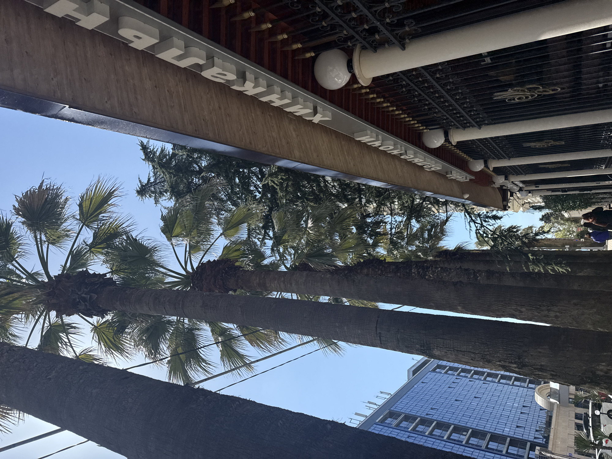 Here's a description of the image:
The image shows a view looking up at palm trees against a blue sky. The location appears to be an urban area, possibly a street with a building in the background with a blue glass facade. There are other trees and some architecture, including a structure overhead with white supports and a sign with white lettering, which is unreadable due to the angle and perspective. The photo is taken from a low angle, emphasizing the height of the palm trees and their relationship to the surrounding environment. There are people walking, slightly blurred, far in the background.