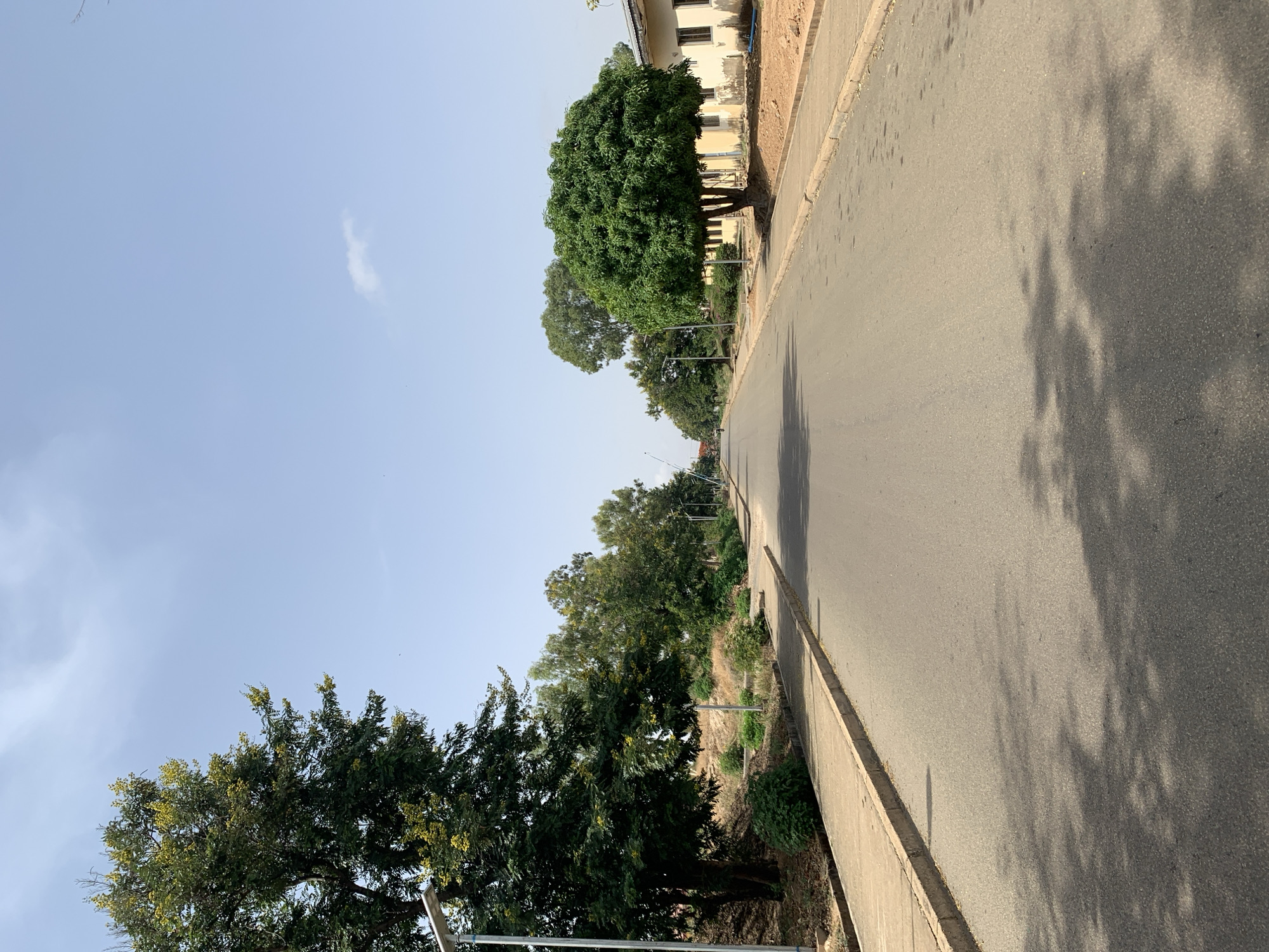The image shows a street scene in Jos, Nigeria. The road is paved and runs from the bottom to the top. The sky is visible on the left, with a pale blue hue and a few scattered clouds. Along the sides of the road are trees, some with dense foliage, and some with yellow blossoms. A building with yellow walls is visible on the right side of the road. The pavement has some shadow patterns of the tree foliage.