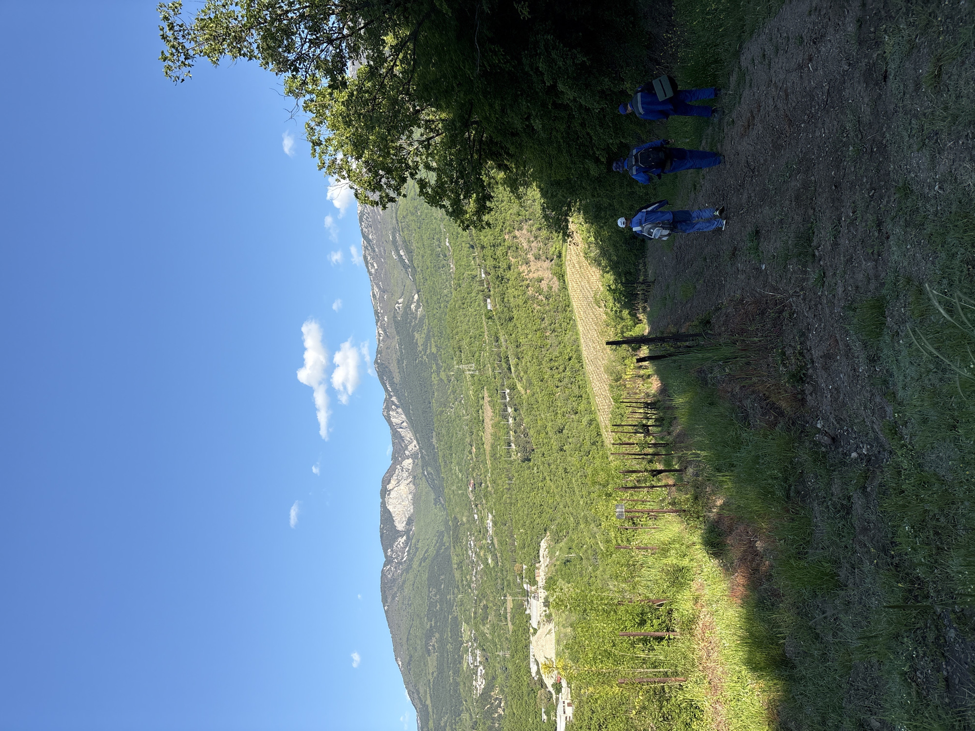 The image depicts a mountain landscape under a clear blue sky with some scattered clouds. At the top right of the image are three people dressed in blue overalls standing along a dirt path under the shade of a tree. The path is adjacent to a vineyard. The mountain slopes are covered in green vegetation. It's impossible to confirm the location is in Pushkino, Ukraine with the information in the image.