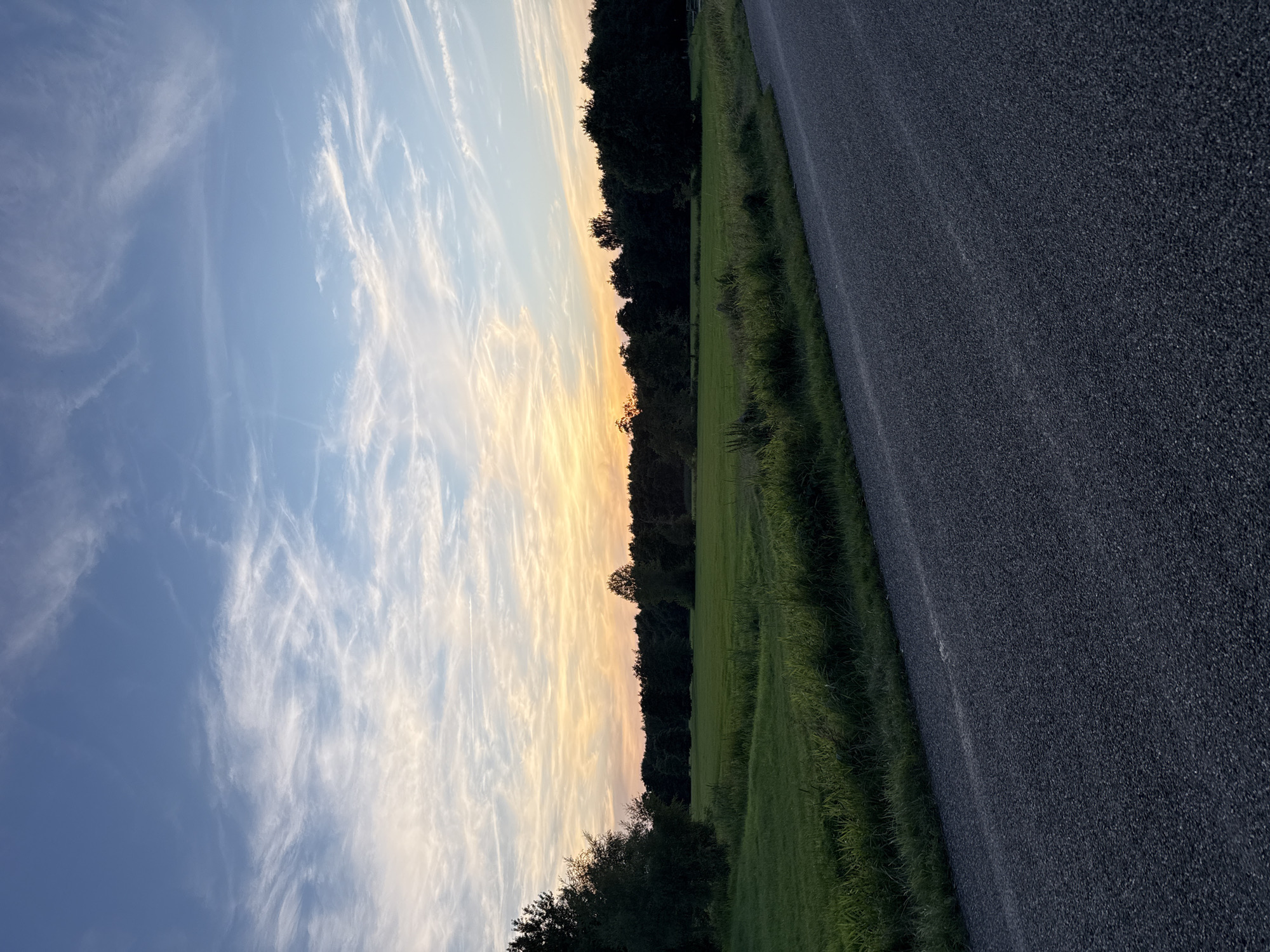 An asphalt road is in the foreground of the image, curving slightly to the right. To the left of the road is a green grassy field with some taller grasses and reeds along the edge. Beyond the field, a line of dark green trees forms a dense forest. Above the trees, the sky is a blend of blue and soft orange and yellow hues, indicating a sunset. Wispy white clouds are scattered across the sky. The image appears to be taken at dusk in a rural setting, possibly in or near Marum, Netherlands, given the landscape and typical vegetation. There are no people or animals visible in the image.