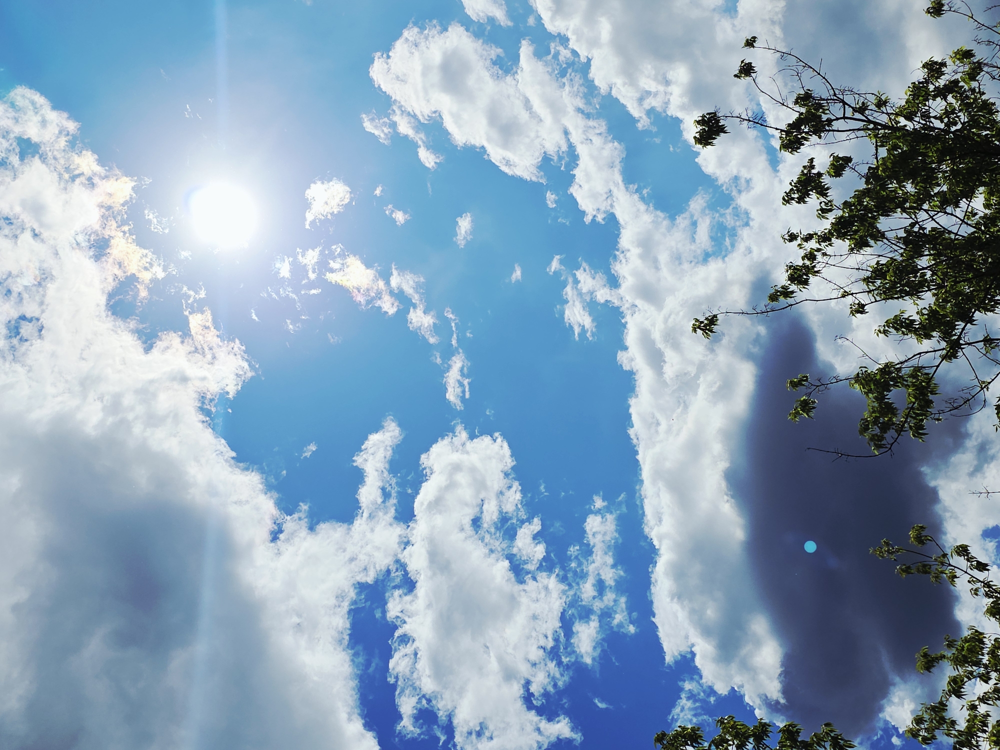 The image is a low-angle shot of a sky filled with white clouds and patches of blue sky. The sun is visible in the upper left corner, emitting a bright glare. In the upper right and lower right corners, there are tree branches with green leaves. The location is unknown.