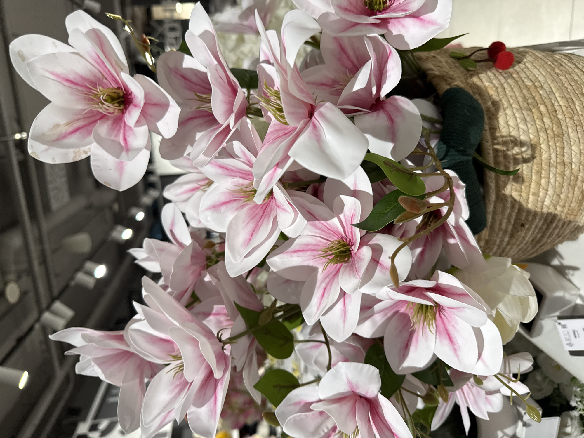 This is a close-up, eye-level, vertical shot of a bouquet of artificial magnolia flowers. The flowers are predominantly white with delicate pink streaks on their petals. The blooms are gathered in a cluster, with some facing forward and others turned to the side. Their centers are a light green, with a textured appearance. Small green leaves are interspersed among the flowers, adding a natural element to the artificial arrangement.
In the background, a portion of a woven straw basket is visible, suggesting the flowers are arranged in or for this container. A dark green ribbon or fabric is wrapped around the basket handle. Two small, bright red spherical ornaments, possibly decorative cherries, are attached to a thin stem extending from the basket.
The lighting appears to be artificial, with bright spots visible in the upper left and right background, suggesting overhead lights or perhaps a display area. The overall atmosphere is that of a product display, possibly in a store or home decor setting. No people are visible in the frame. The focus is sharply on the flowers, with the background elements softly blurred. No discernible text is visible on the flowers or the basket, though there is a small white tag with some faint text and symbols on the lower right edge of the image, partially obscured by a flower. Given the location context of Odesa, Ukraine, this image likely depicts a decorative item available for purchase or display in that region.