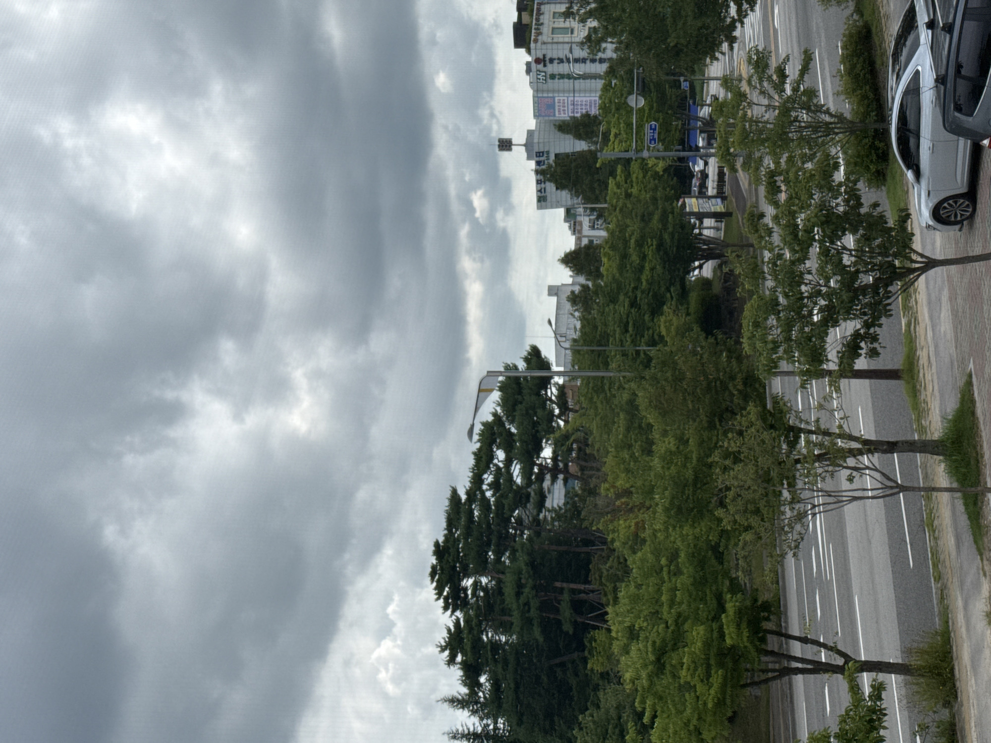 The image captures a cloudy day in Gwangju, South Korea, likely on a street with trees and buildings. In the foreground, a paved road with white lane markings is visible, bordered by a sidewalk or median with grass and young trees. A white sedan and a dark SUV are parked on the side of the road. Behind the trees, several multi-story buildings are visible, some with signage in Korean. The sky is filled with dense, gray clouds, suggesting overcast weather. The overall scene depicts an urban environment with significant greenery, possibly a residential or commercial area.