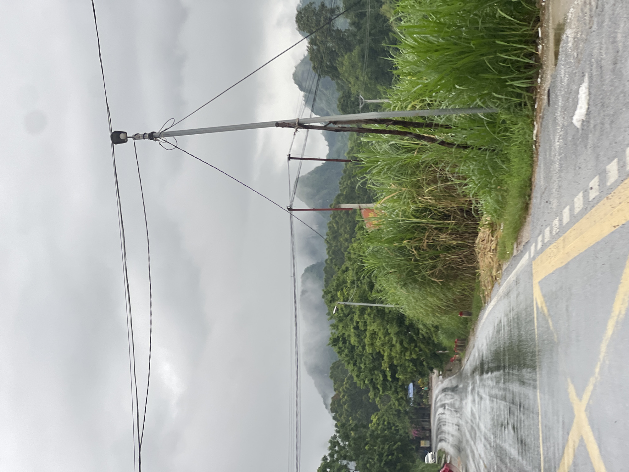 The image depicts a wet, asphalt road curving through a lush, green rural landscape, likely in Tân Thanh Commune, Vietnam. Overhead, power lines are strung across a cloudy, overcast sky. In the foreground, yellow road markings are visible, indicating a lane change or intersection, and the road surface is slick with water, reflecting the sky and surrounding vegetation. To the right of the road, tall, dense green grass and reeds grow abundantly. A utility pole with wires supporting it stands prominently in the mid-ground, near a cluster of tall reeds. Further back, a dense line of trees forms a backdrop, with several mist-shrouded, conical mountains rising behind them. The overall impression is of a humid, possibly rainy day in a natural, undeveloped setting. A white car is parked on the left side of the road in the distance, and a few figures are visible walking along the road.