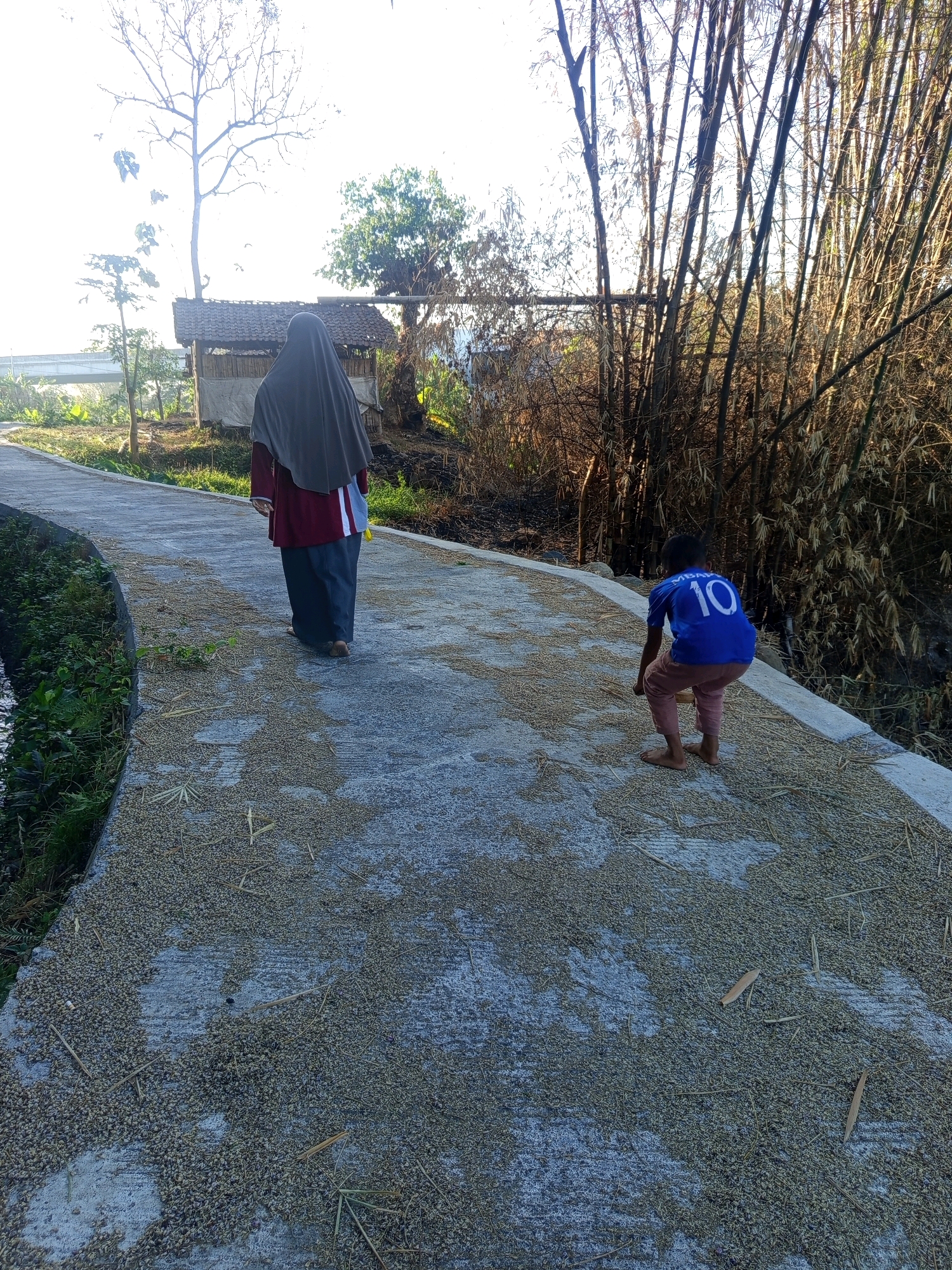 The image depicts an outdoor scene with a paved pathway. A person wearing a grey hijab and a maroon and white shirt, and a dark blue skirt is walking away from the camera on the pathway. To the right, a child in a blue t-shirt with the number "10" on the back and light-colored pants is crouching on the pathway. The pathway is partially covered with what appears to be small grains or seeds. The background features a grove of bamboo trees and other vegetation, with a small structure resembling a shack in the distance. The scene is bathed in sunlight, suggesting it is daytime. The location is identified as Mulyorejo, Indonesia.