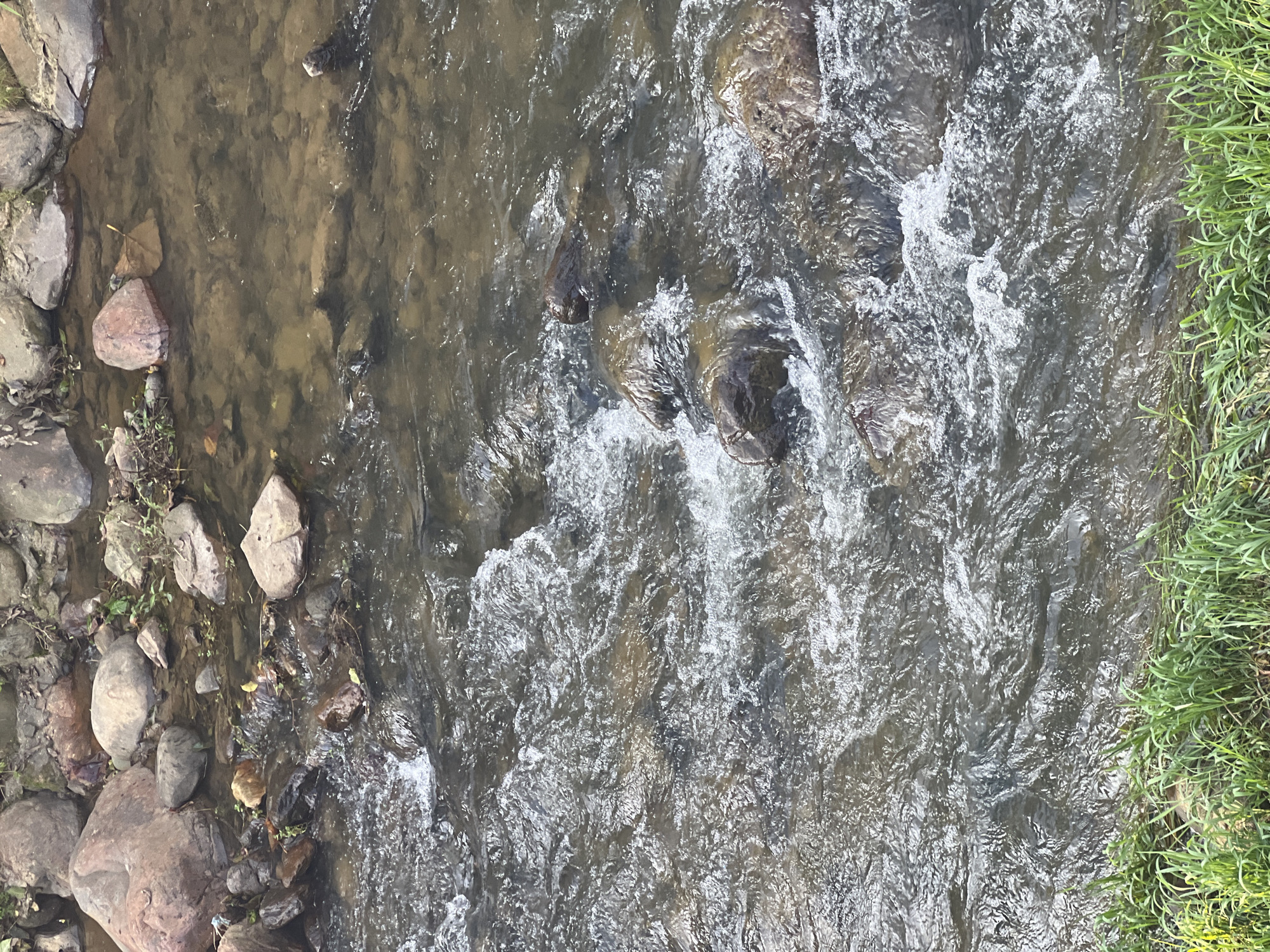 The image depicts a shallow, rocky stream with clear, flowing water. The stream bed is composed of various sized rocks, some submerged and others partially exposed. The water is disturbed in places, creating white foam and ripples as it moves over the rocks. Along the right bank of the stream, a line of grass is visible. The overall scene is natural and serene, suggesting an outdoor environment likely found in a less urbanized area, such as the outskirts or surrounding natural landscapes of Gia Hội, Vietnam. There are no people or man-made structures prominently featured in the image.