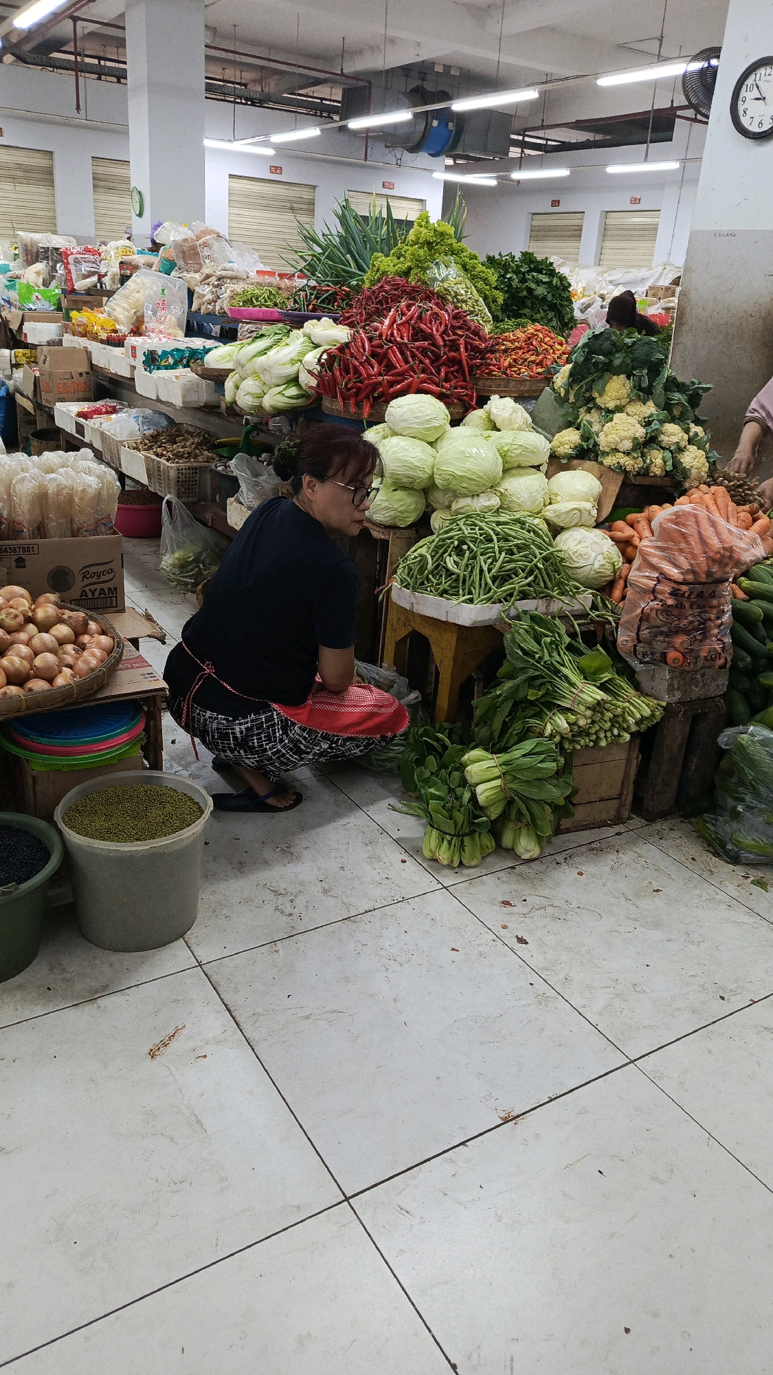 The image depicts a woman crouching in a market stall in Nologaten, Indonesia, surrounded by a variety of fresh produce. The woman, wearing glasses, a dark t-shirt, and a patterned skirt with a red apron, is facing away from the camera. She appears to be sorting or organizing items. The stall is filled with vegetables such as cabbage, chili peppers, green beans, cauliflower, carrots, and onions. Some of the produce is piled high in baskets, while other vegetables are bagged or bundled. The market floor is tiled and appears somewhat worn. In the background, closed metal shutters and overhead lighting suggest an indoor market setting.