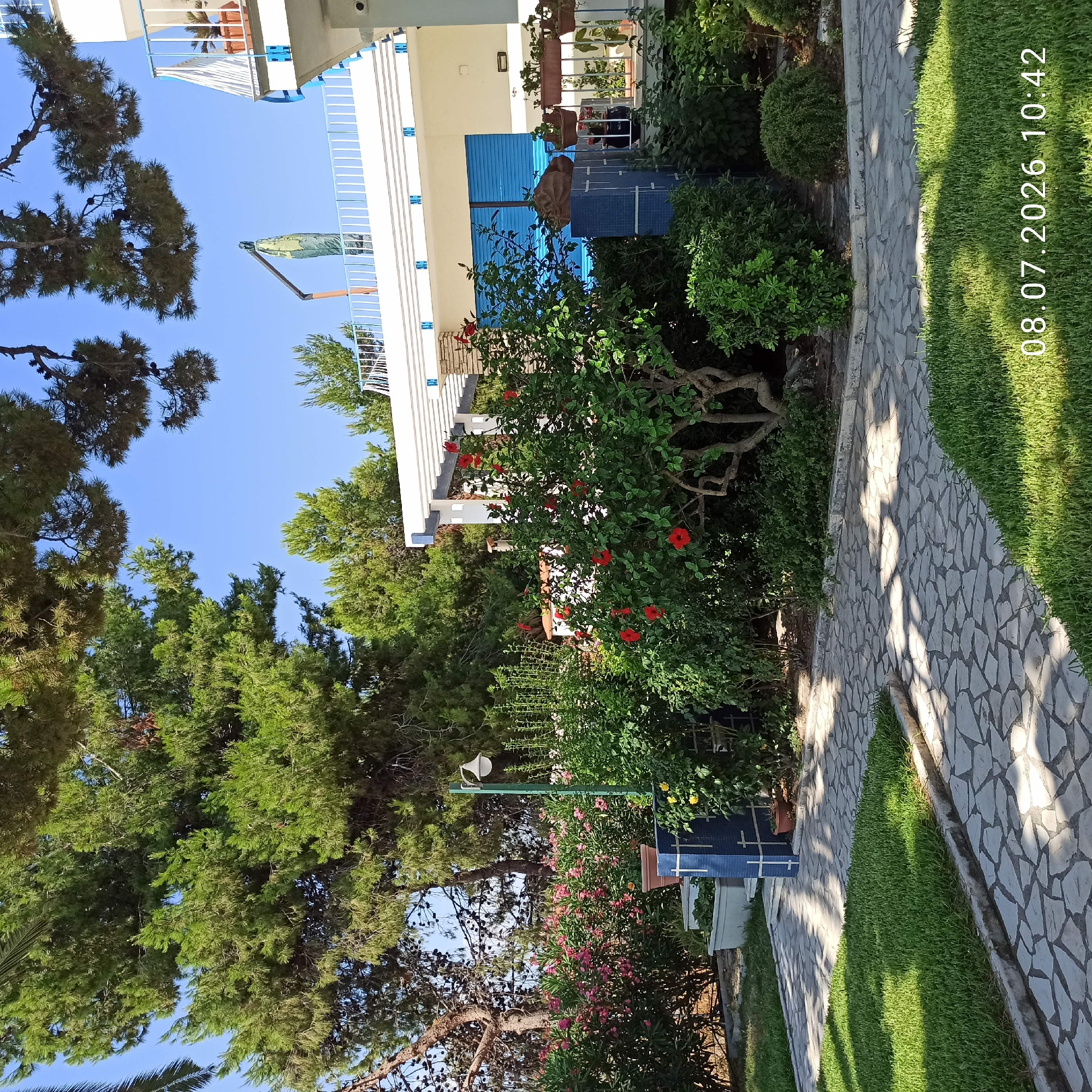 The image depicts a sunlit courtyard or garden area. A stone pathway, composed of irregular light-colored flagstones, meanders through lush green grass and various flowering shrubs and trees. Dominating the scene are vibrant red hibiscus flowers and pink oleanders. In the background, a white building with blue accents and white railings is visible, suggesting a residential or hospitality setting. A tall green lamppost stands near the pathway, and potted plants are scattered throughout the garden. The sky is clear and blue. The overall impression is one of a well-maintained outdoor space on a bright, clear day. No people are present in the image. The date stamp "08.07.2026 10:42" is overlaid on the lower right portion of the image. The location is identified as Trani, Italy.