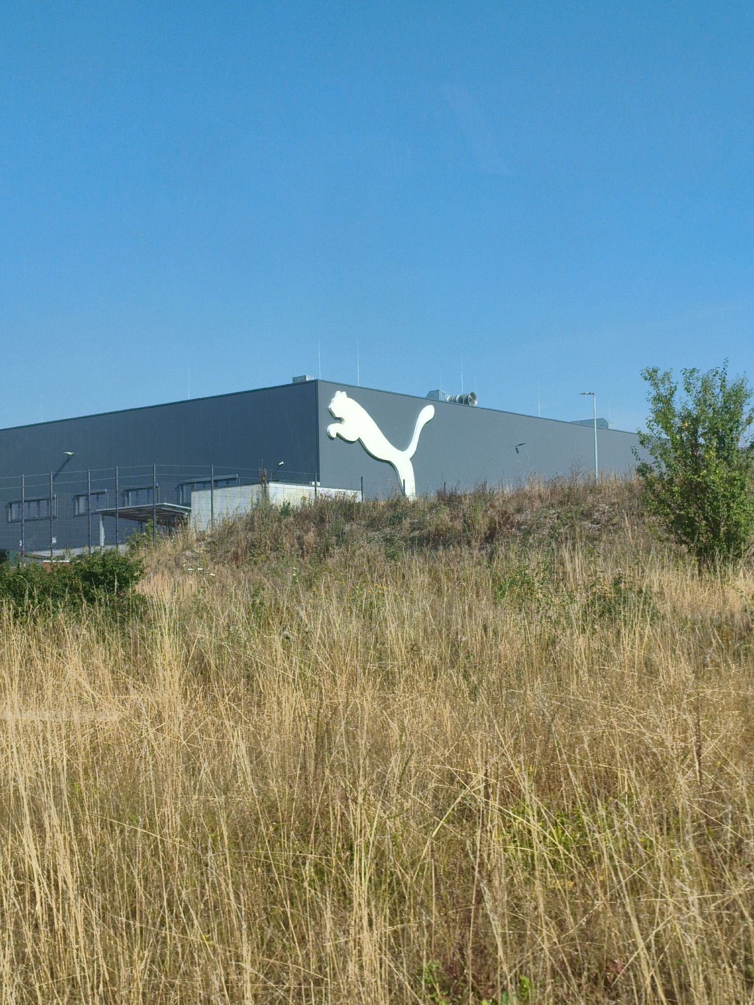 A Puma logo, a white stylized big cat, is prominently displayed on the gray facade of a large industrial building. The building has a flat roof and appears to be a warehouse or factory. In the foreground, a dense field of dry, golden grass stretches across the lower part of the image. Behind the grass and in front of the building, a slope covered in scrubby vegetation and a chain-link fence can be seen. The sky above is a clear, bright blue. The building is located in Geiselwind, Germany.