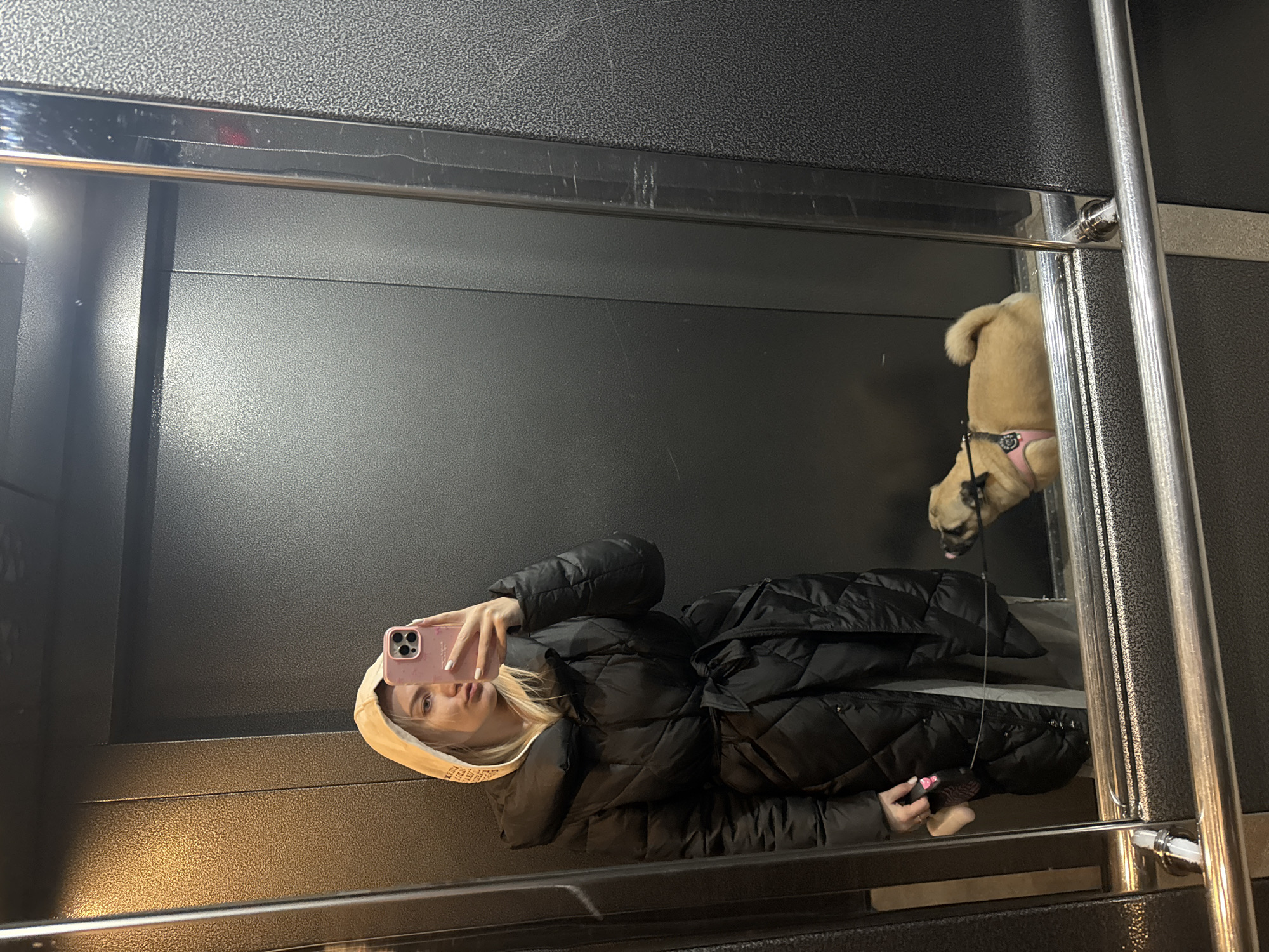 A young woman with blonde hair is taking a selfie in a mirror. She is wearing a black puffer jacket and holding a pink iPhone. Reflected in the mirror is a small, light-brown dog wearing a pink harness. The background appears to be an elevator or other enclosed space with dark, textured walls and metal accents. The location is Krasnodar, Russia.