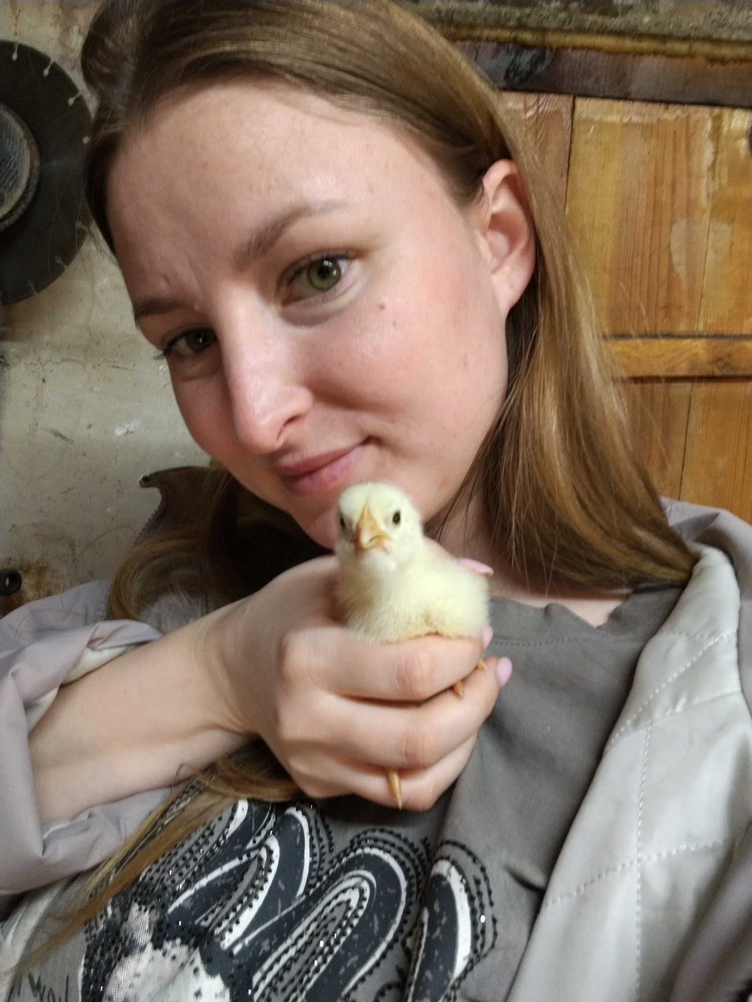 A woman is holding a small, yellow chick. The woman has light skin, brown hair, and green eyes. She is wearing a gray t-shirt with a black and white design, and a light-colored jacket. The chick is in her left hand, facing the camera. The background consists of a wooden door or wall and a concrete wall with a metal object attached to it. The photo appears to be taken indoors in a rustic or farm-like setting. There is no explicit information to directly determine the precise location as Nizhnyaya Gar', Russia.