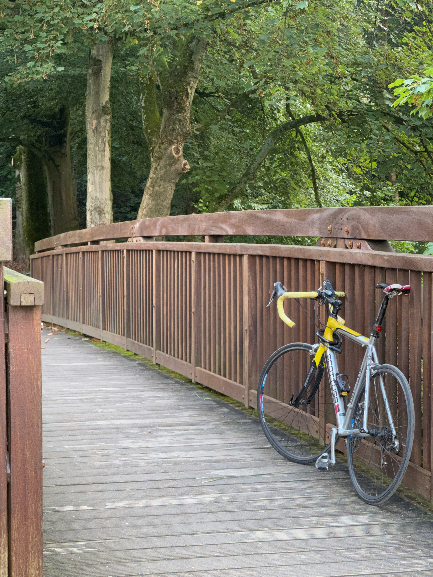 A silver and yellow road bicycle is leaning against a wooden fence on a wooden pedestrian bridge. The bridge is lined with a vertical slatted wooden fence. The bridge curves to the left, disappearing into the background. Trees with green foliage form a dense canopy behind the fence. The scene appears to be in an outdoor, wooded environment, likely a park or trail within the city of Cleves, Germany. The bicycle has a black chain, yellow handlebars, and is locked with a U-lock.